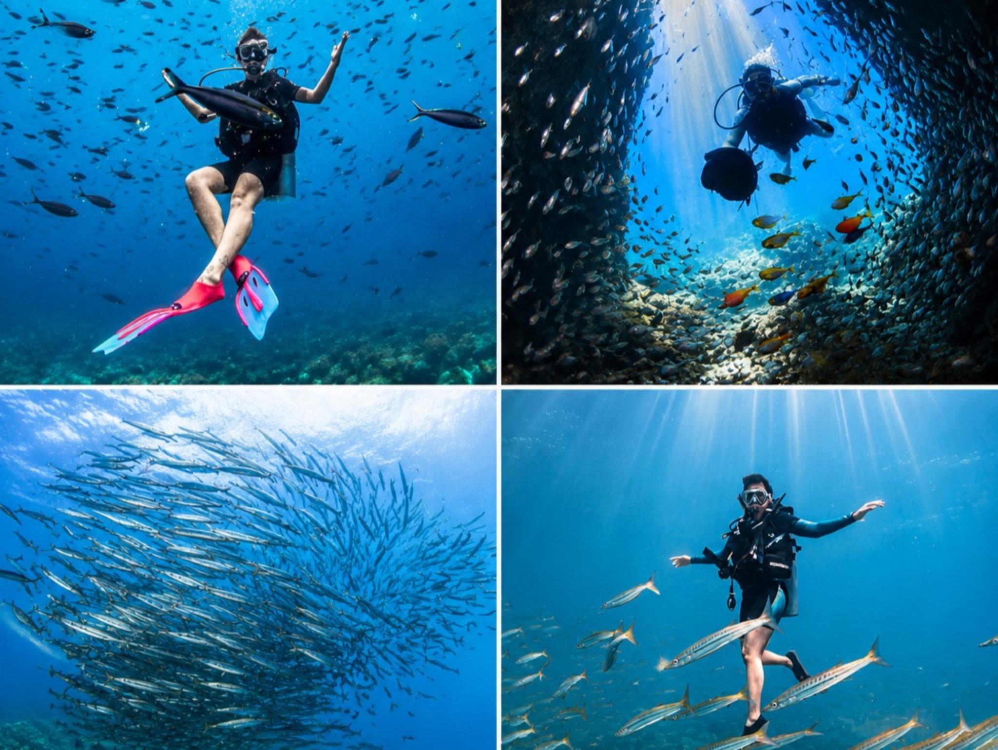 Unawatuna Scuba Diving: Courses, Fun Dives & Wreck Dives