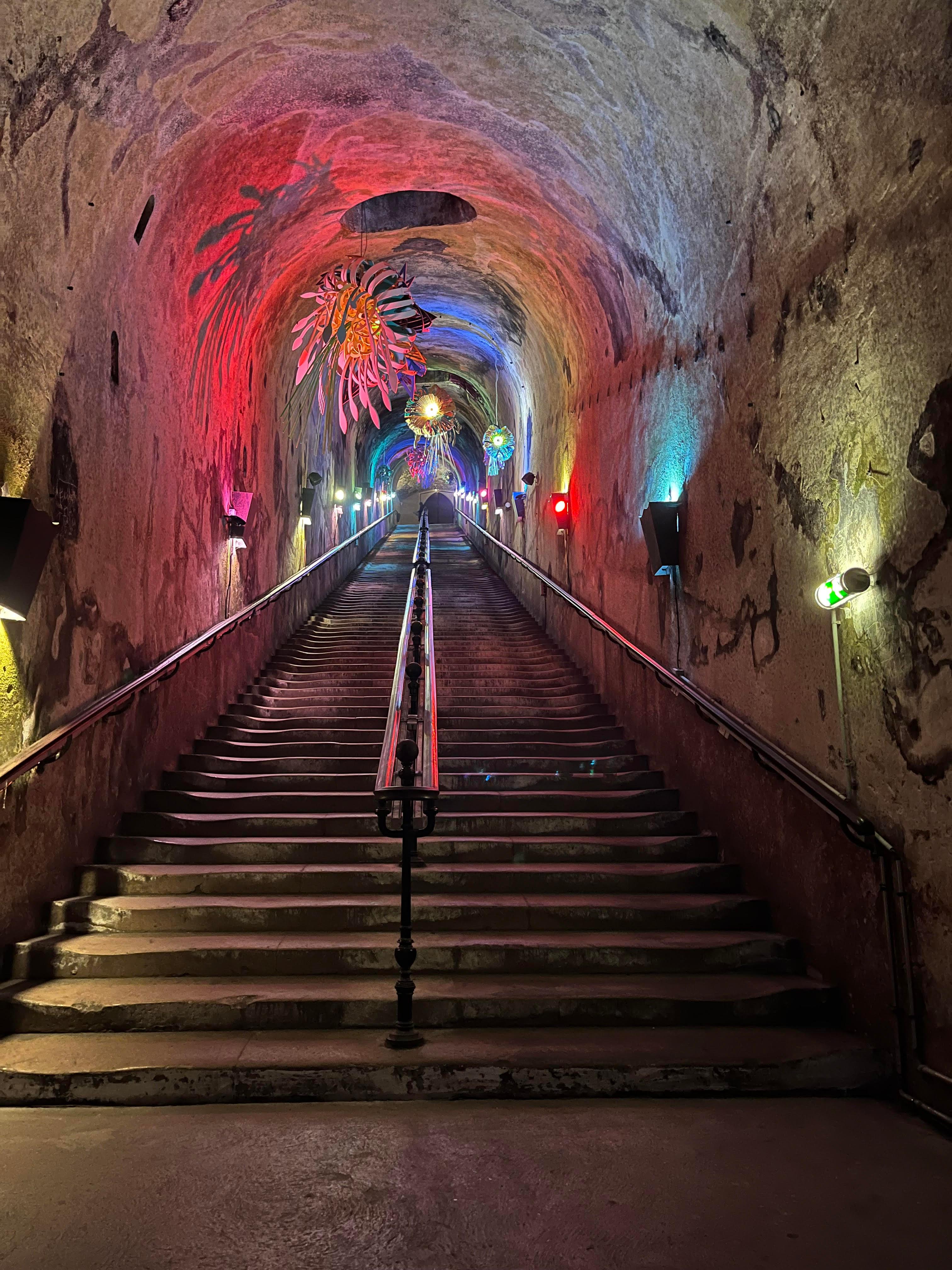 Reims and Epernay Discovery Tour