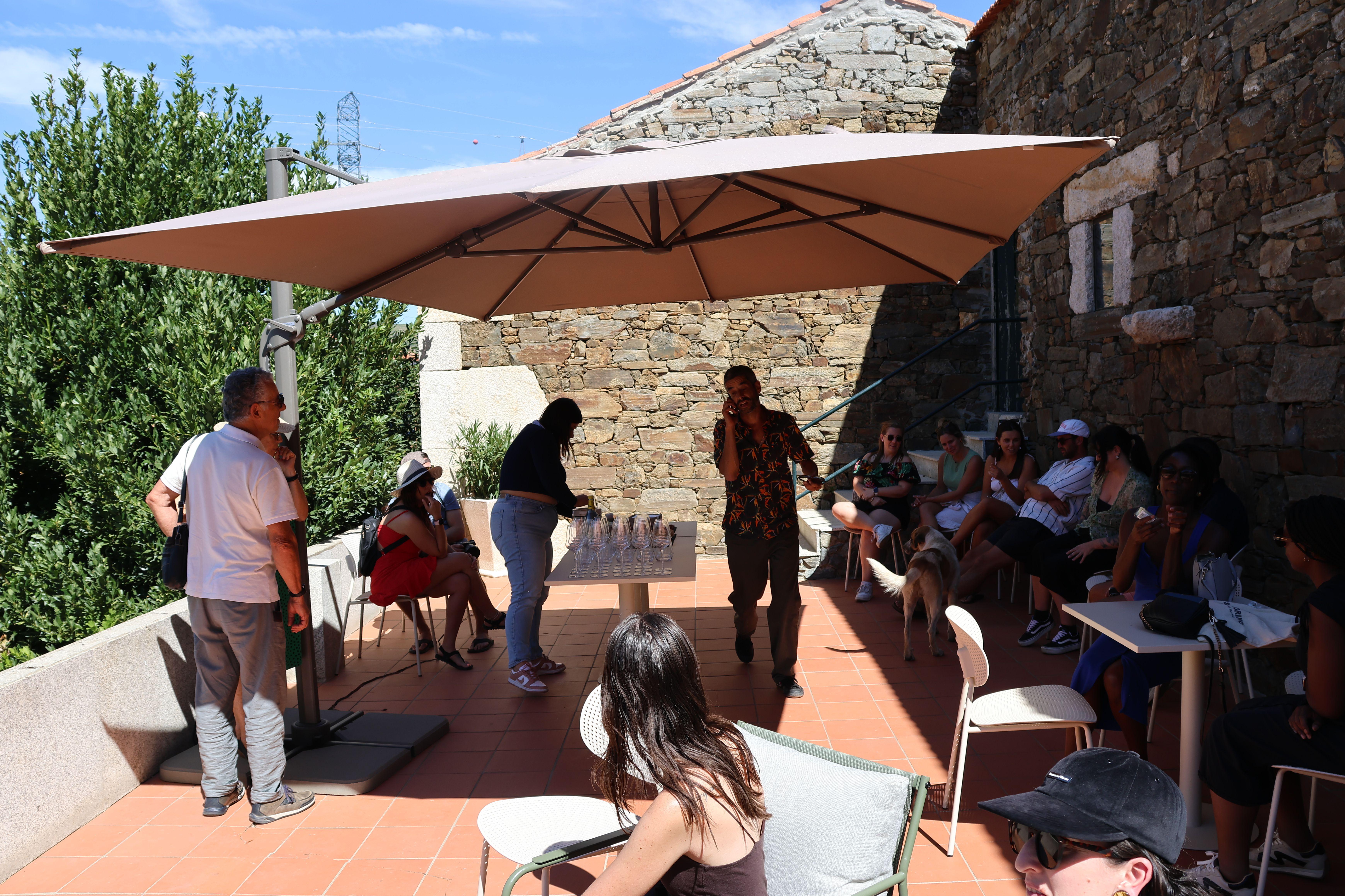 Douro Valley Wine & Cruise Day Trip from Porto