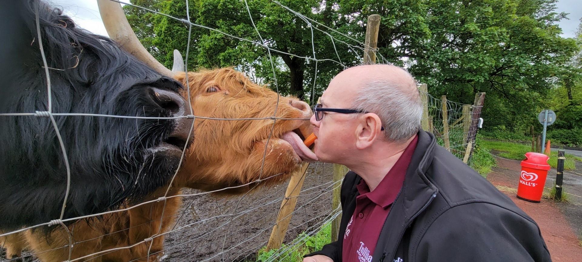 Loch Lomond, Waterfalls & Sheepdog Show from Greenock