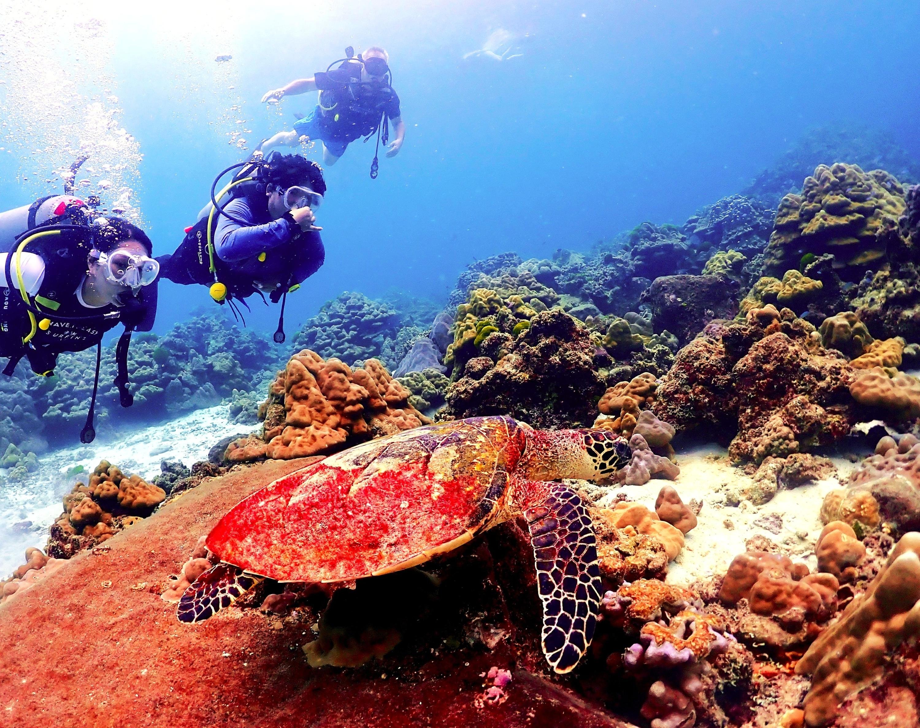 Phuket: Racha & Maiton Islands Scuba Diving for All Levels