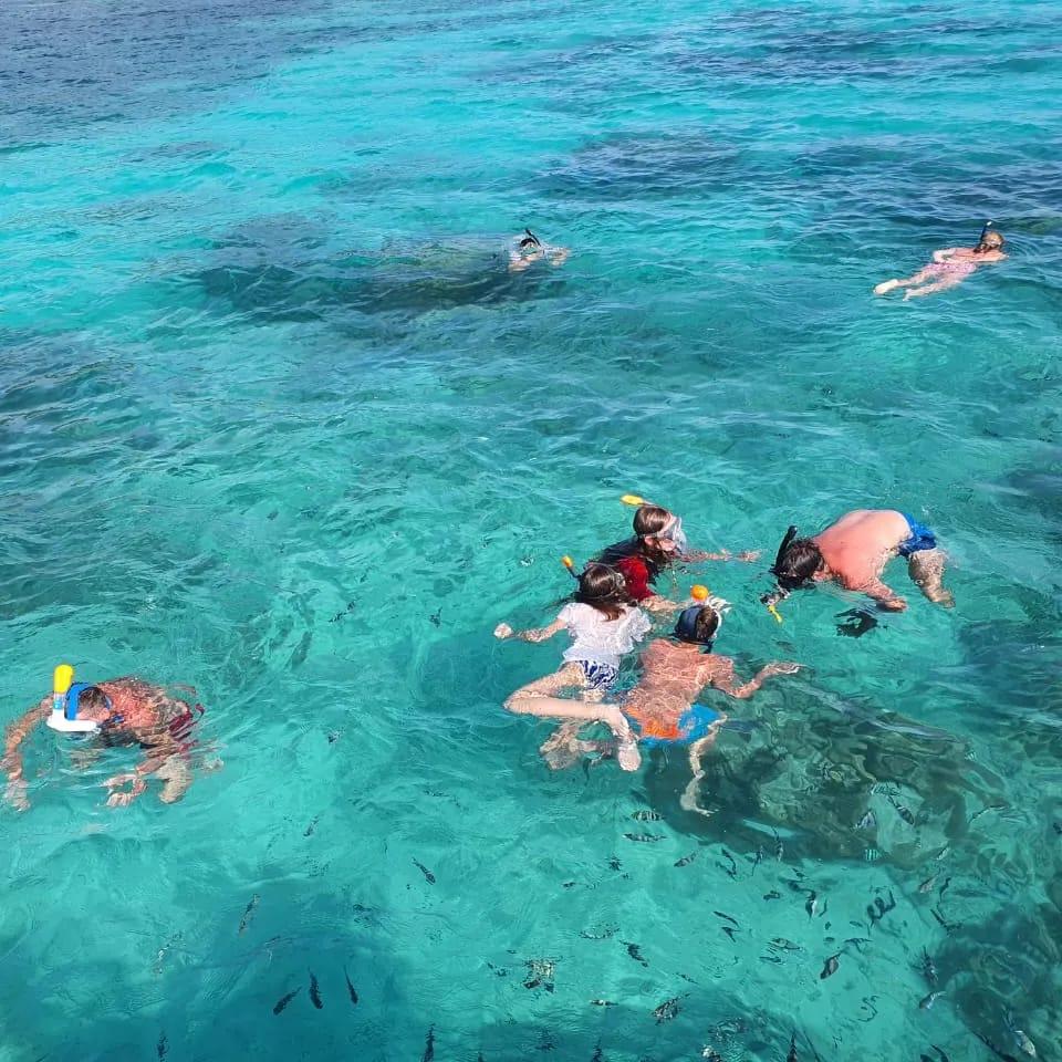 Avventura nel Parco Marino di Ste Anne in barca con fondo di vetro e snorkeling