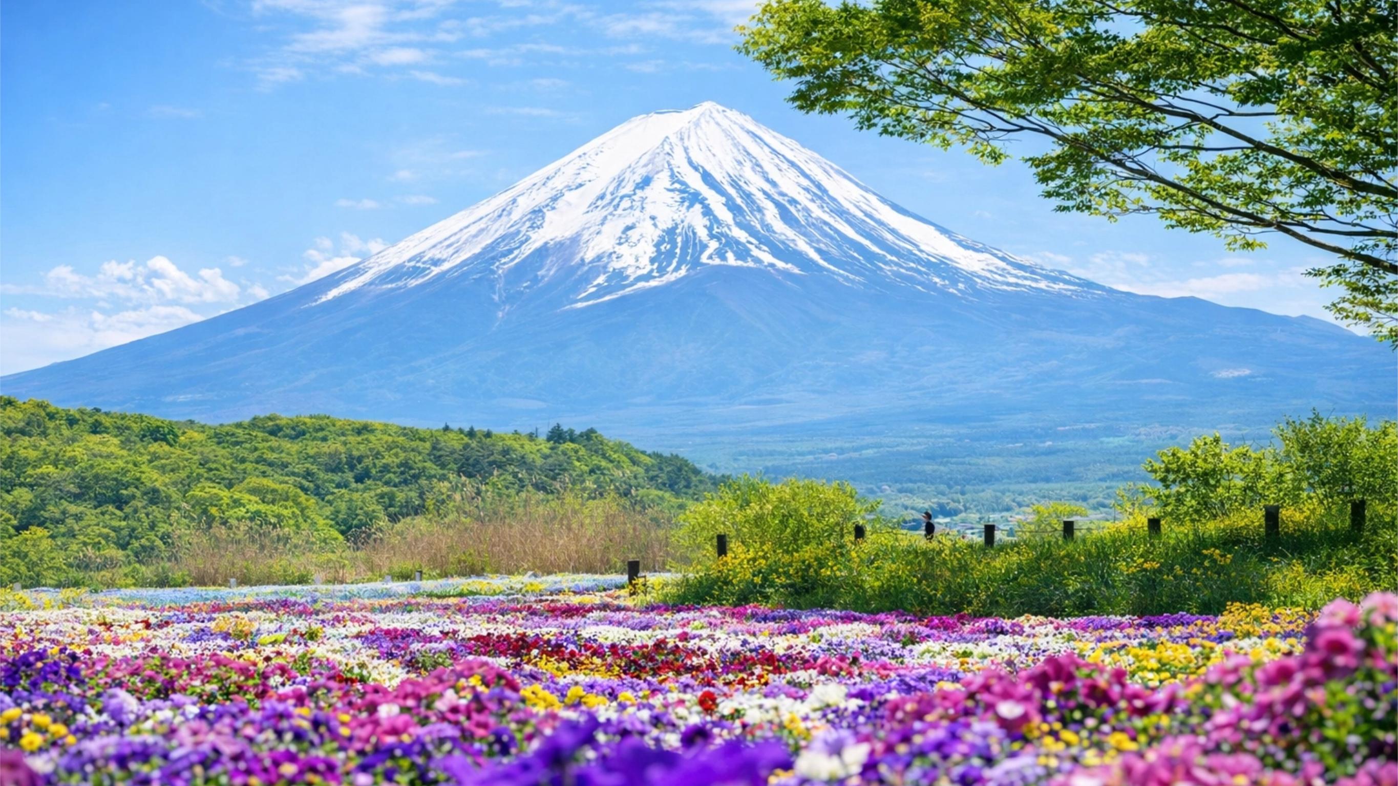 Tokyo Day Trip: Mt. Fuji Six-Spot Photography & Culture Tour