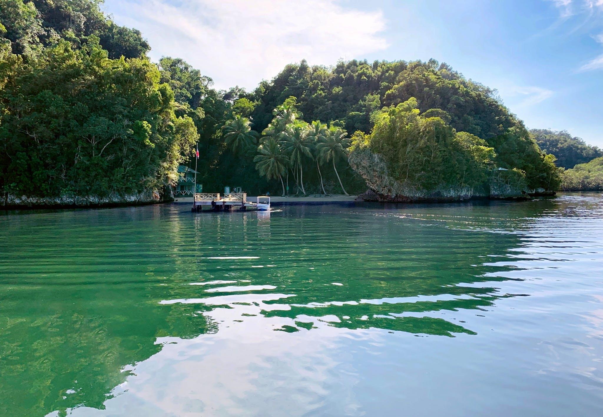 Dominican Republic 3-in-1: Los Haitises, Yanigua Falls & Montaña Redonda