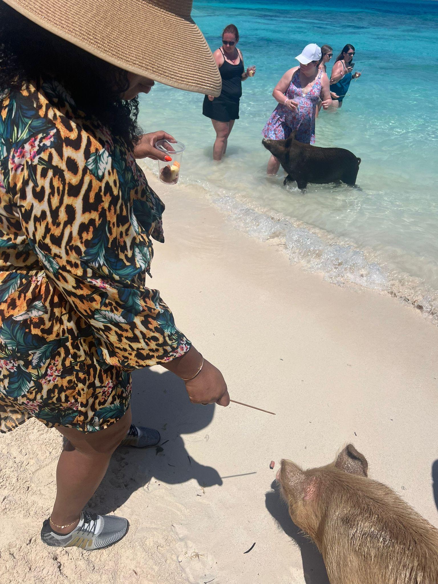 Bahamas Swimming Pigs, Snorkeling & Rum Cruise