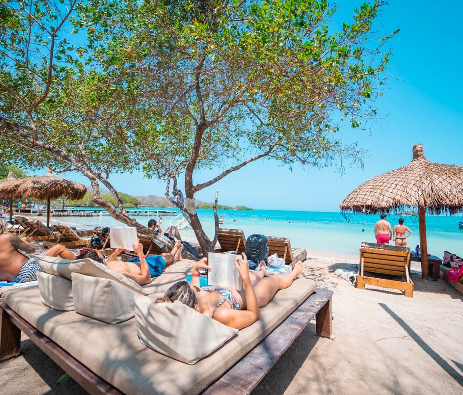 Rosario Islands Full-Day Cruise: Snorkeling, Lunch & Beach Clubs