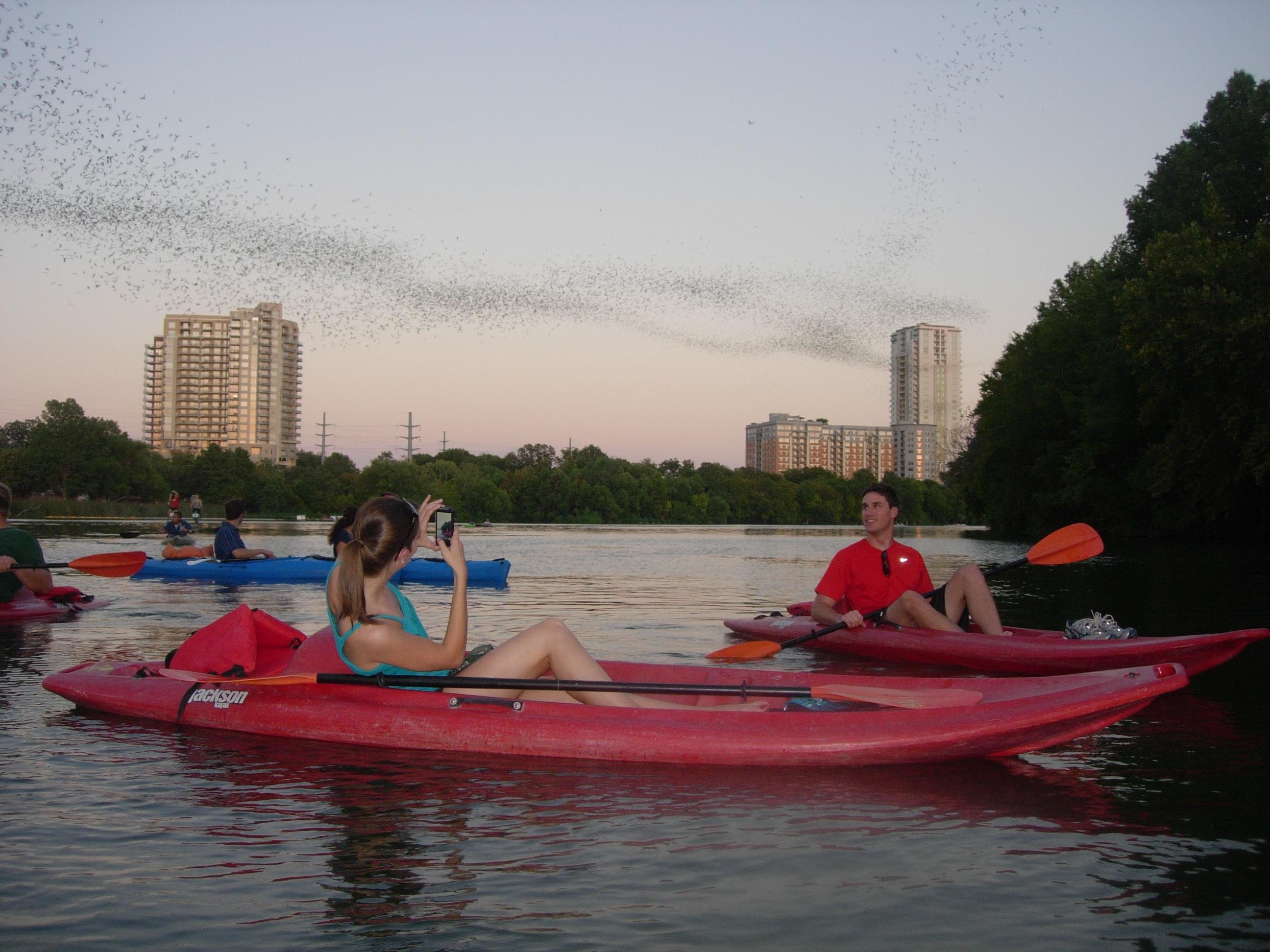 Sunset Kayak & Bat Colony Tour