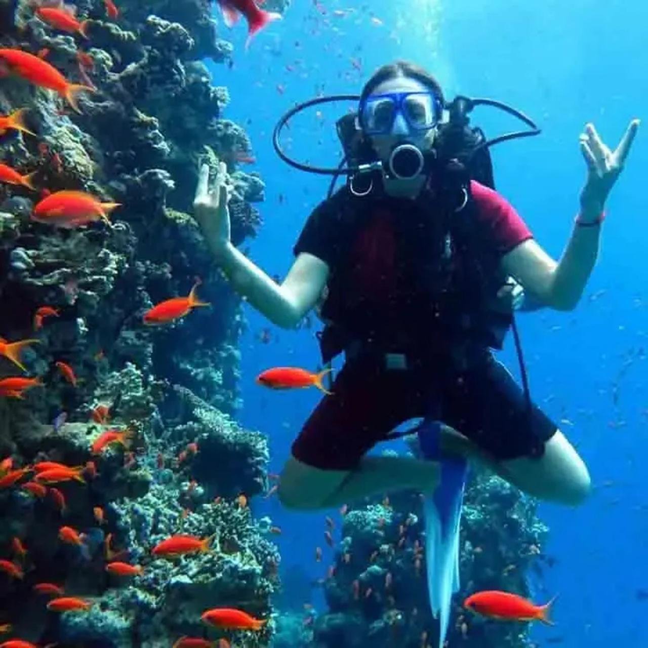 Sharm El Sheikh: Ras Mohamed & White Island Dive & Snorkel Day Trip