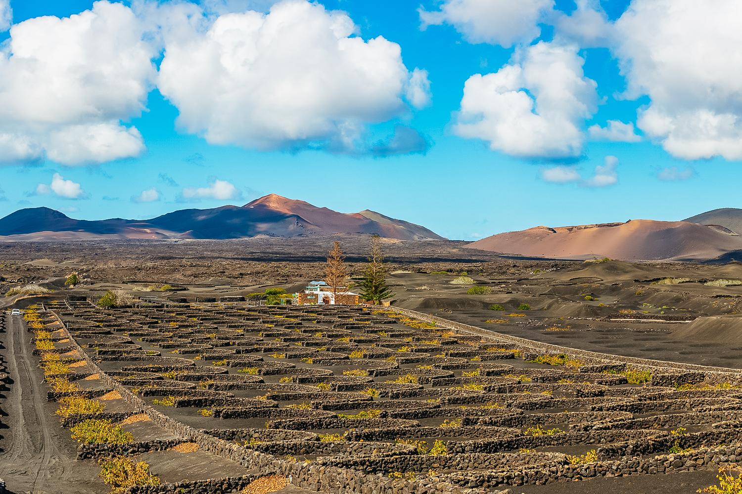 Timanfaya Volcano & Green Lagoon Shore Excursion