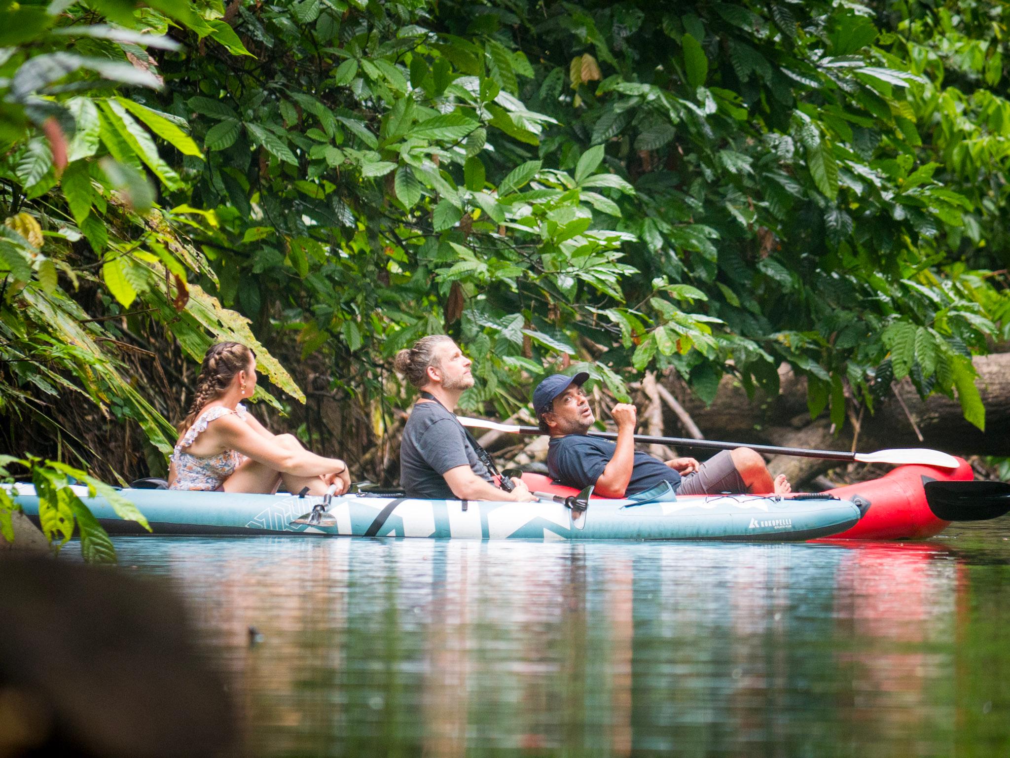 Punta Uva Sloth & Wildlife Kayaking Adventure