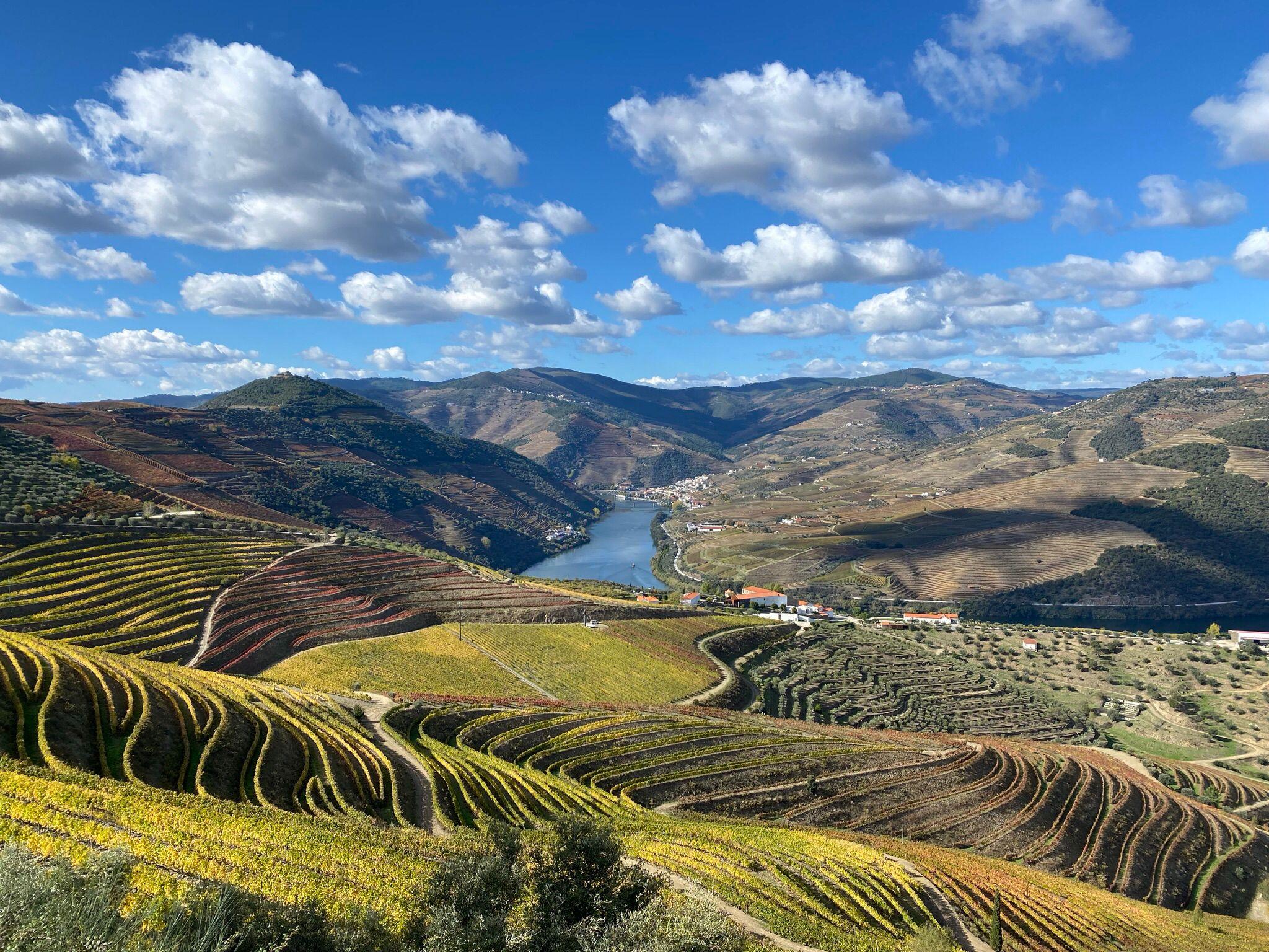 Douro Valley Small-Group Wine & Boat Tour from Porto