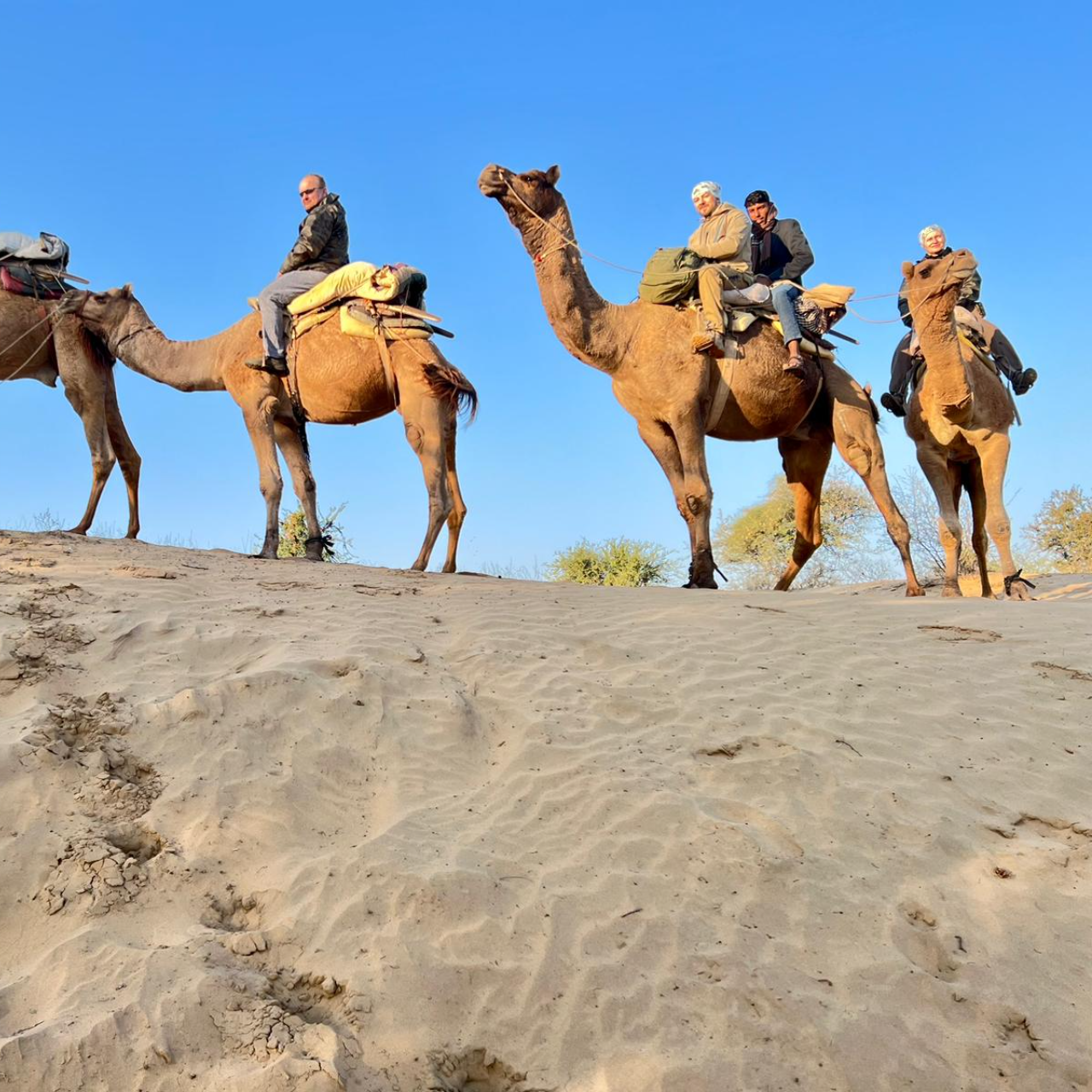 Jodhpur Thar Desert Safari & Traditional Cooking Experience