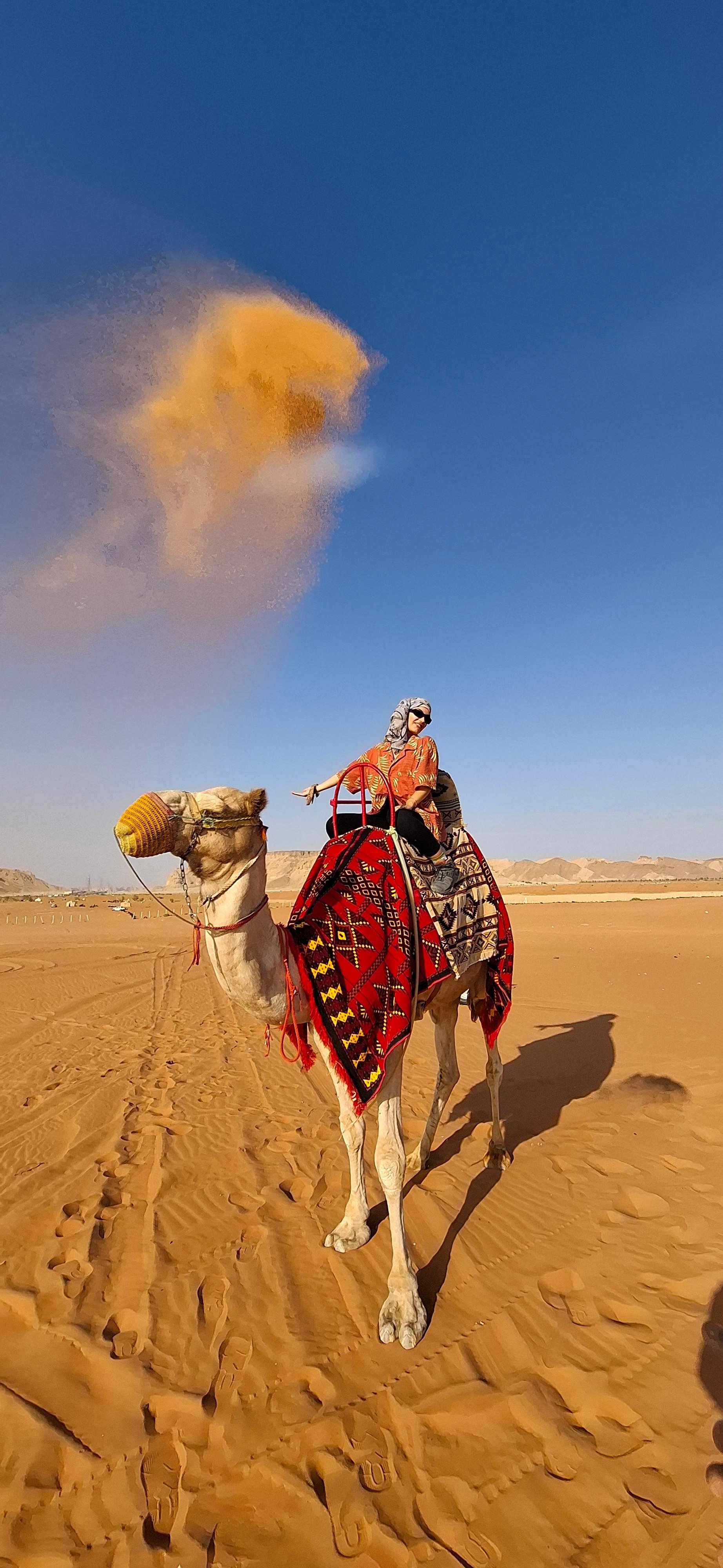 Riyadh Desert Safari: Camel & Quad Bike Adventure