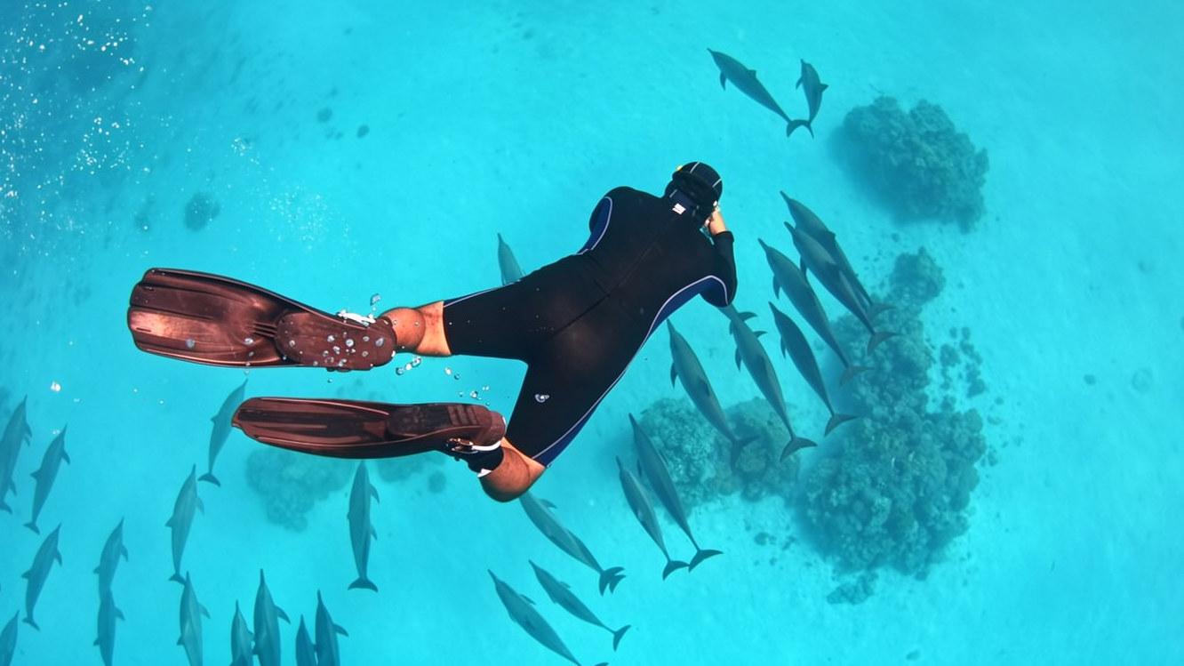 Zanzibar Private Dolphin Safari & Mnemba Snorkeling