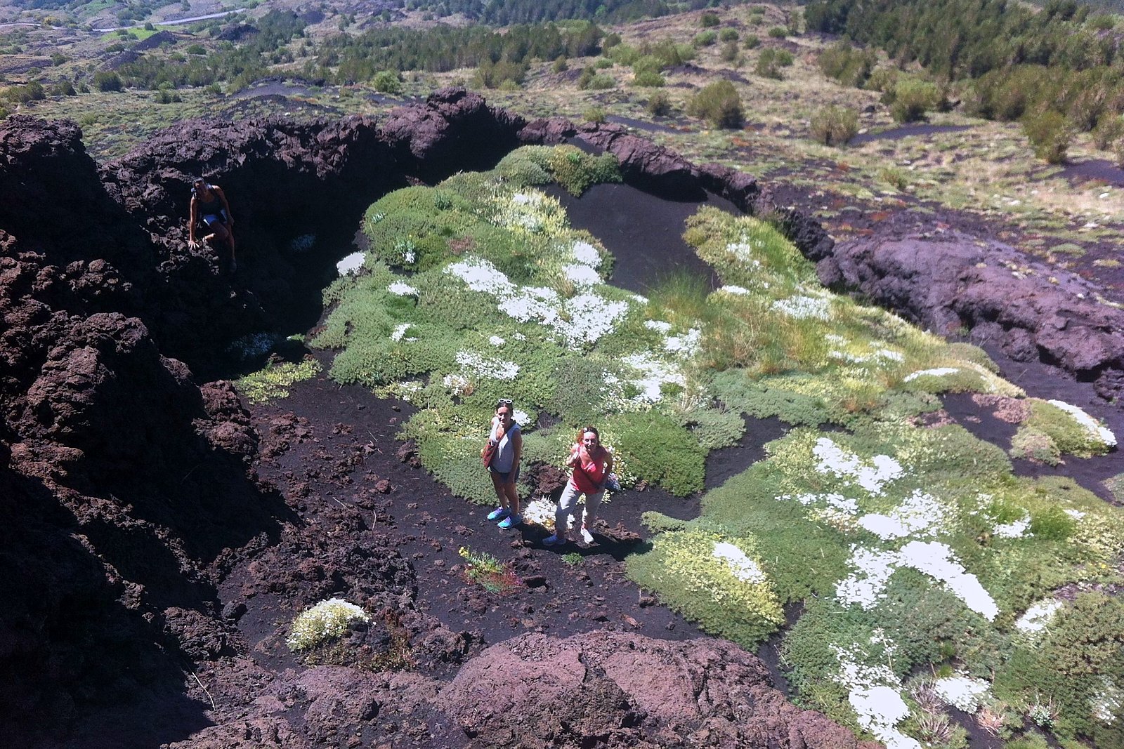 From Catania: Mount Etna Half-Day Tour and Wine Experience