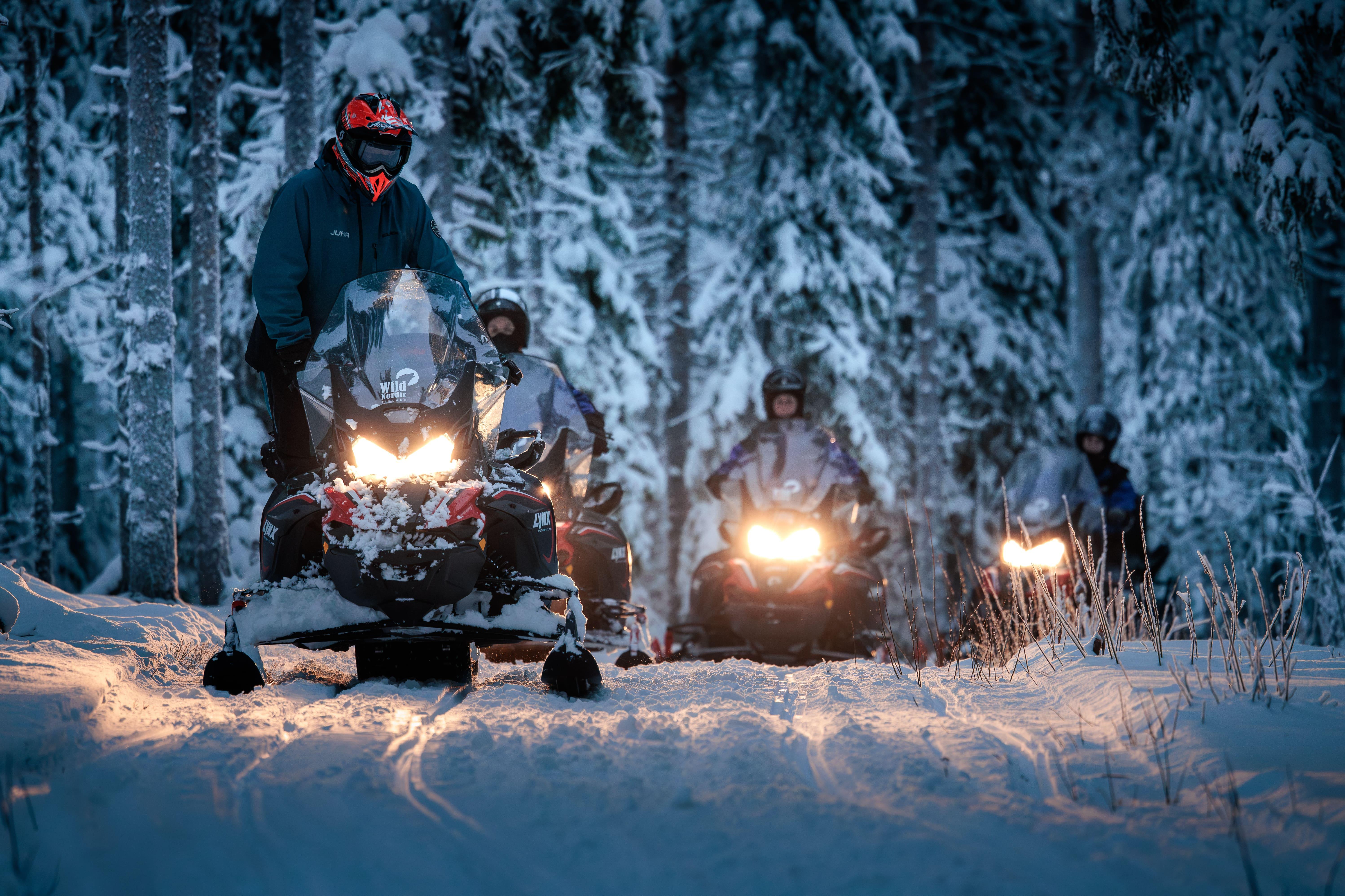 Rovaniemi Arctic Forest Snowmobile Safari