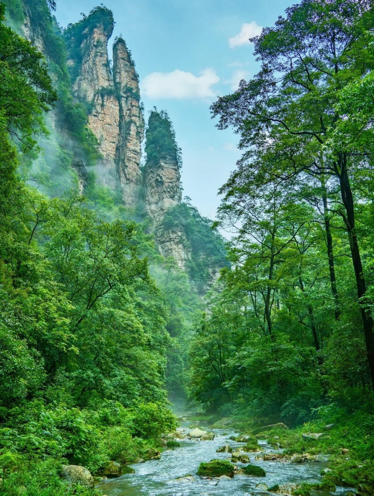 Zhangjiajie National Park Early-Start Hiking Tour