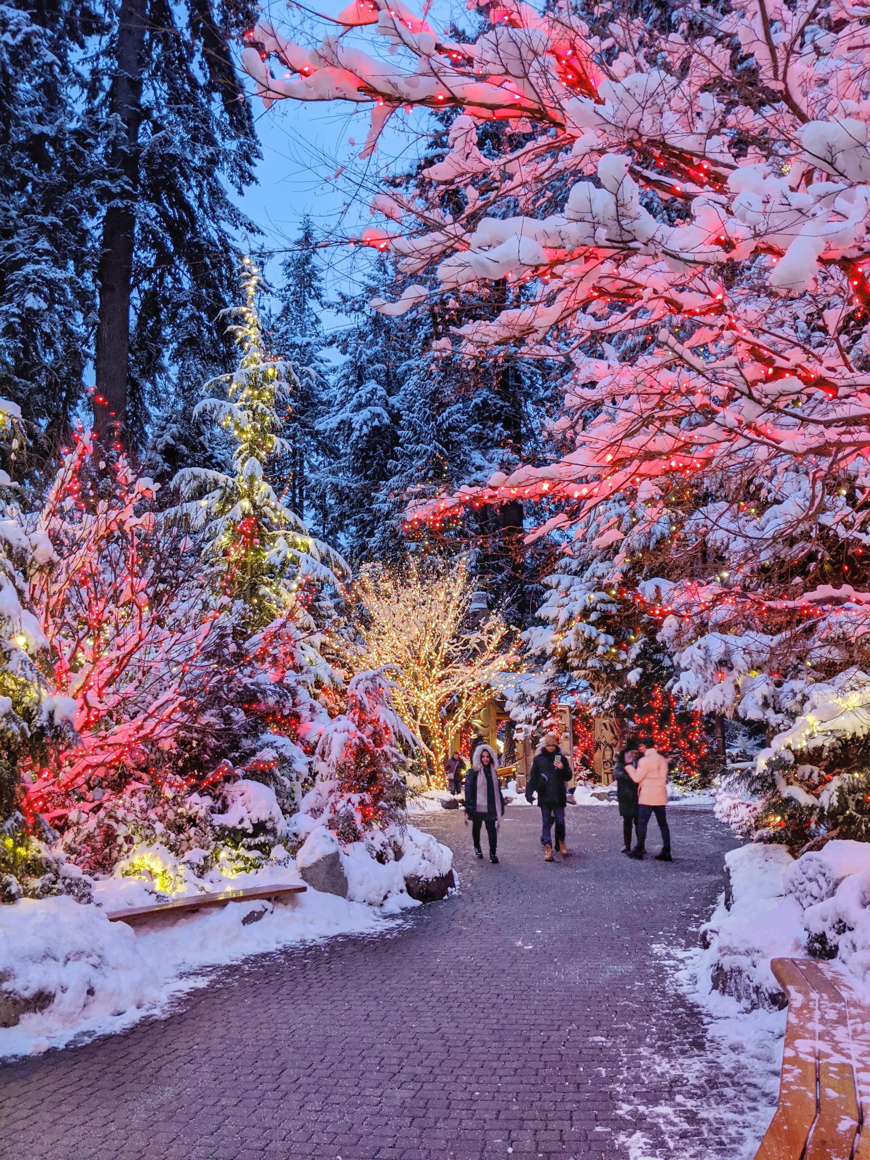 Capilano Suspension Bridge Park Entry
