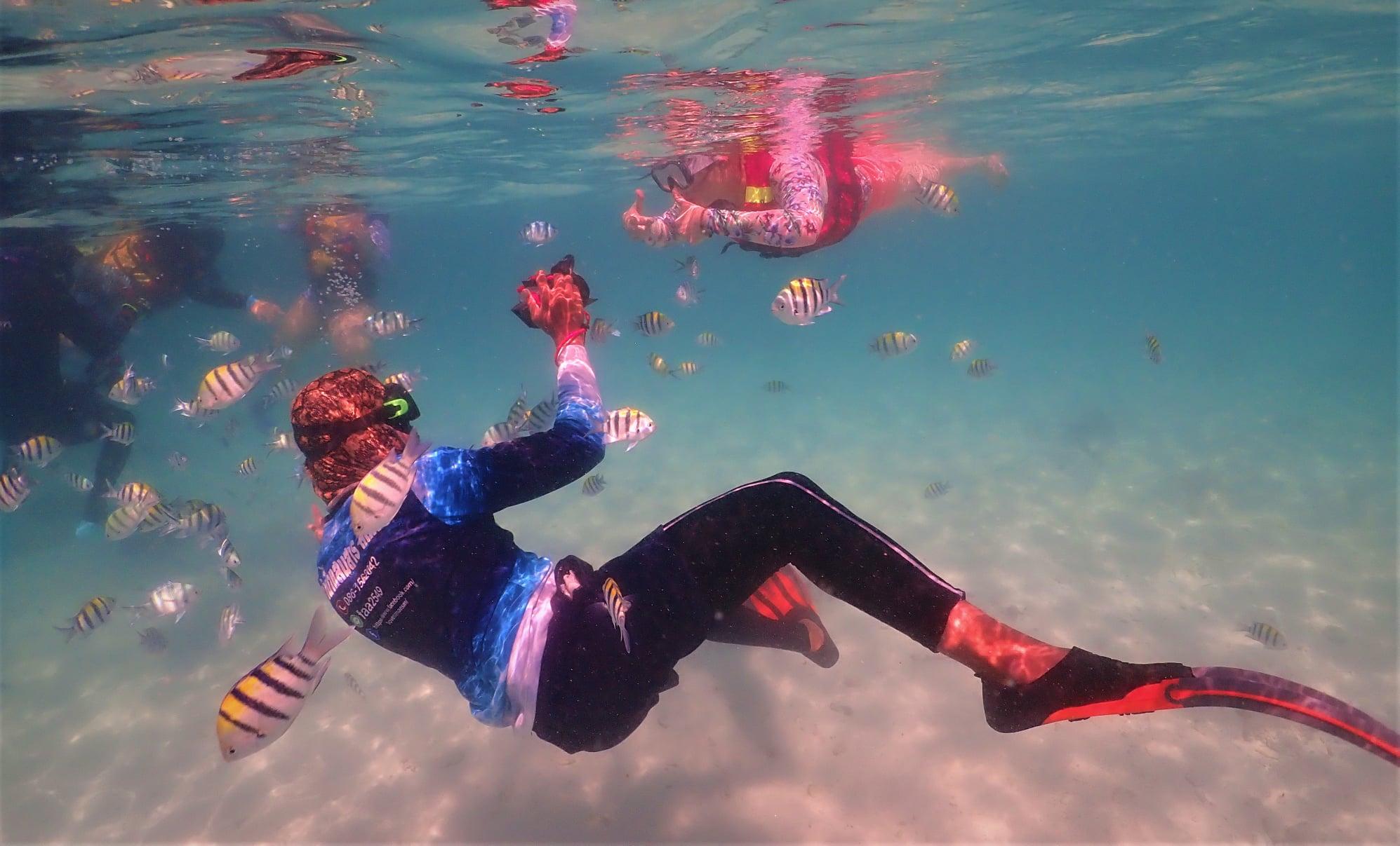 Nemo Island Snorkeling Excursion from Pattaya