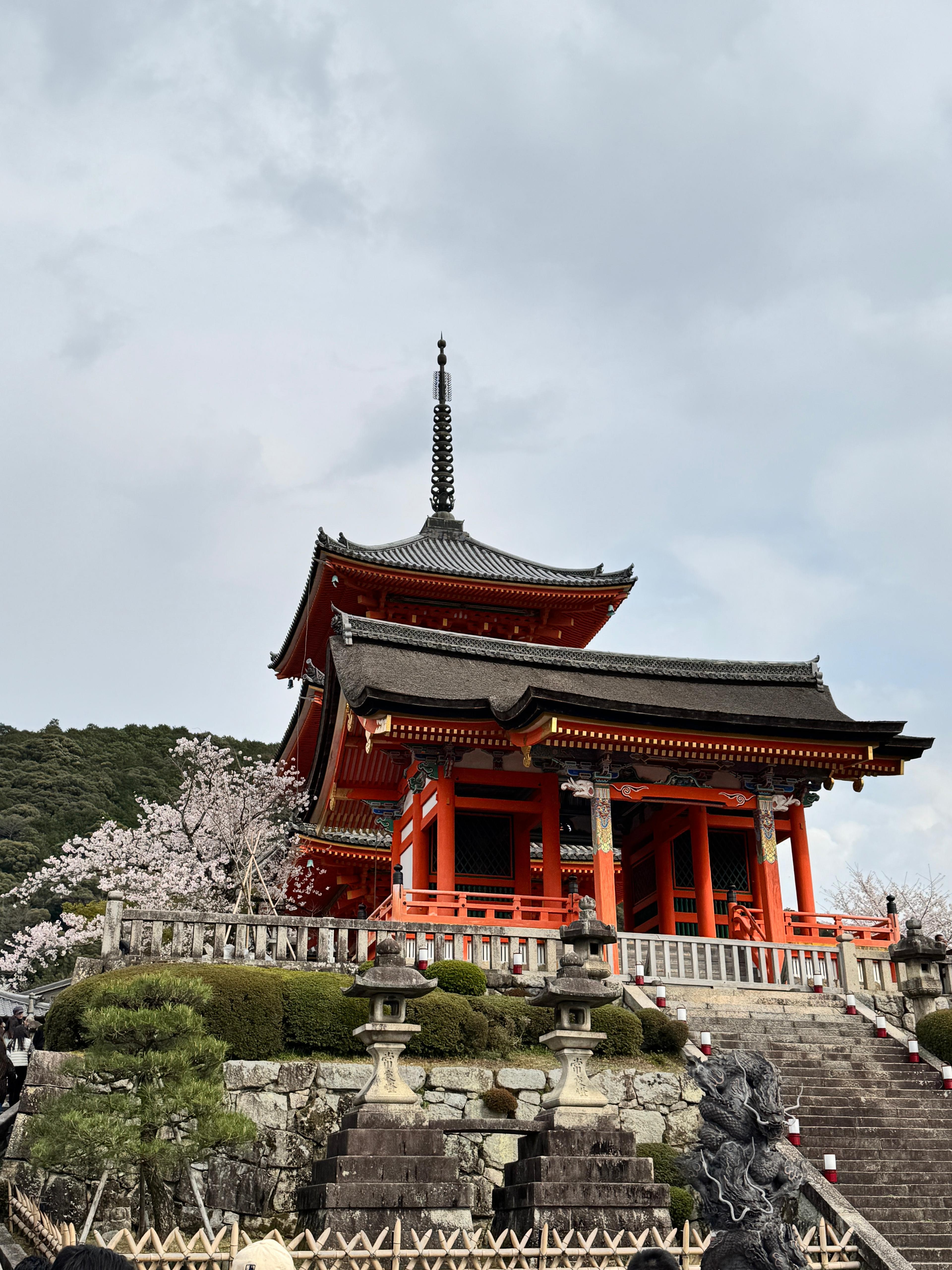 Kyoto og Nara: Tilpassbar privat dagstur fra Osaka eller Kyoto