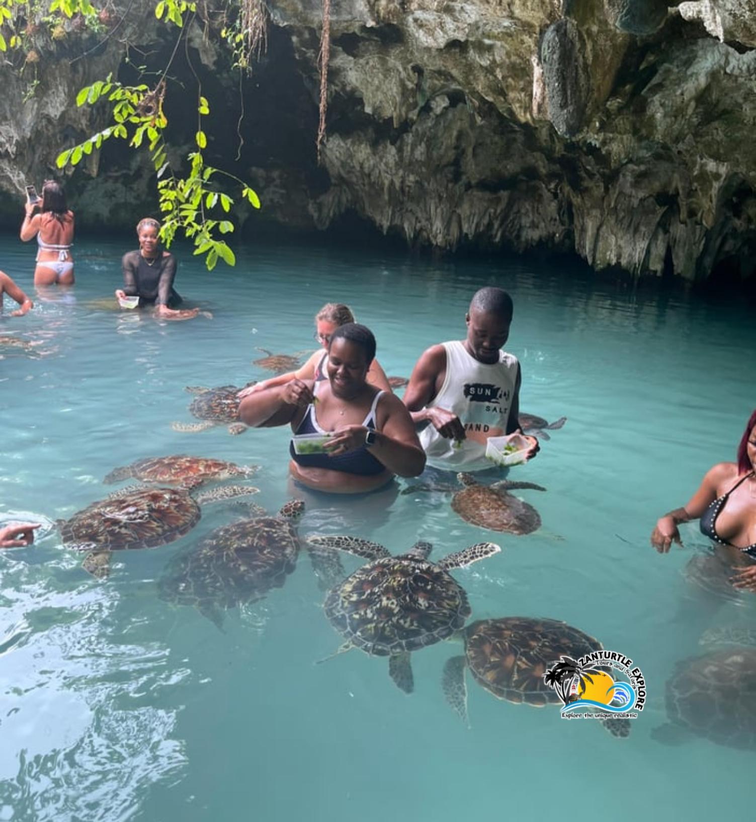 Zanzibar: Jozani Forest, Salaam Cave & The Rock Restaurant Day Tour