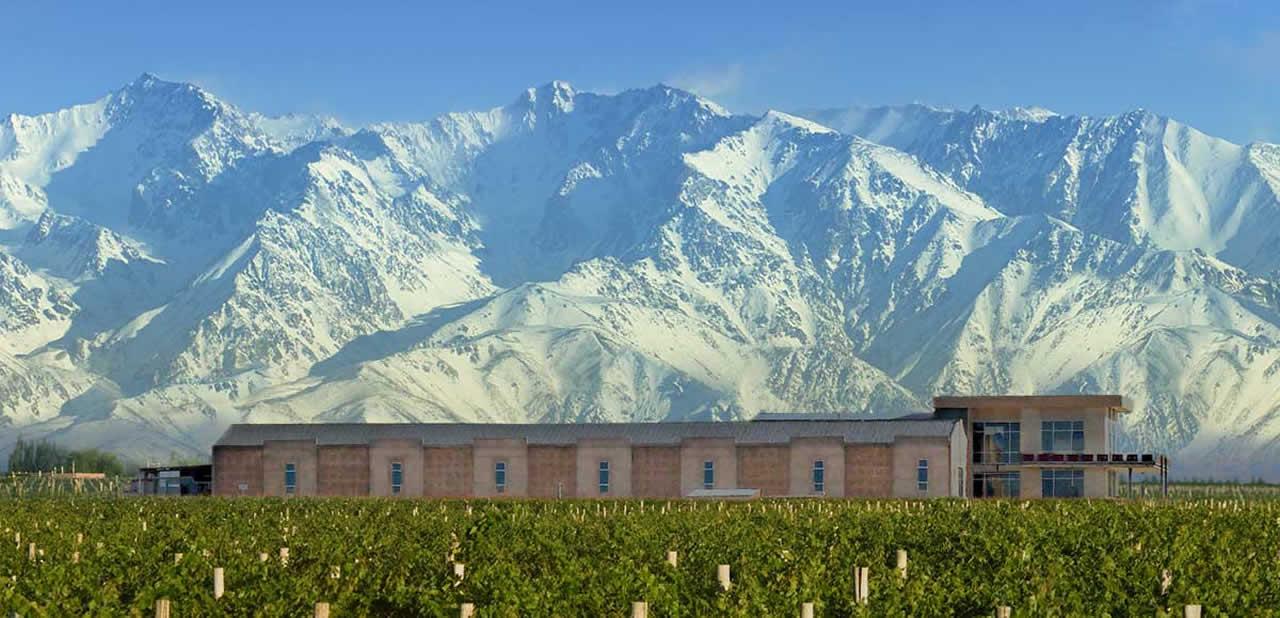 Uco Valley Wine Tour with Lunch from Mendoza