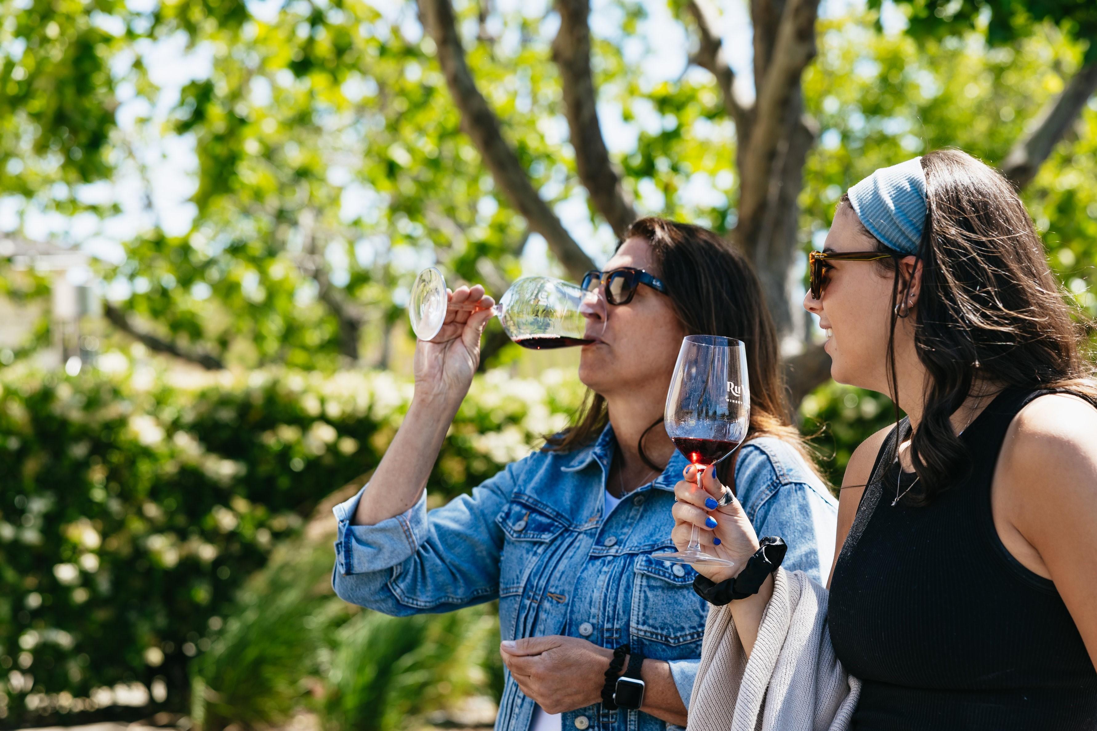 San Francisco: Napa and Sonoma Valley Wine Tour