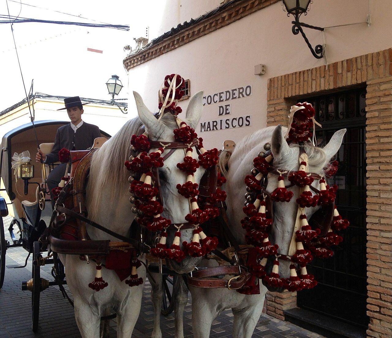 Private Horse-Drawn Carriage Tour of Córdoba's Jewish Quarter