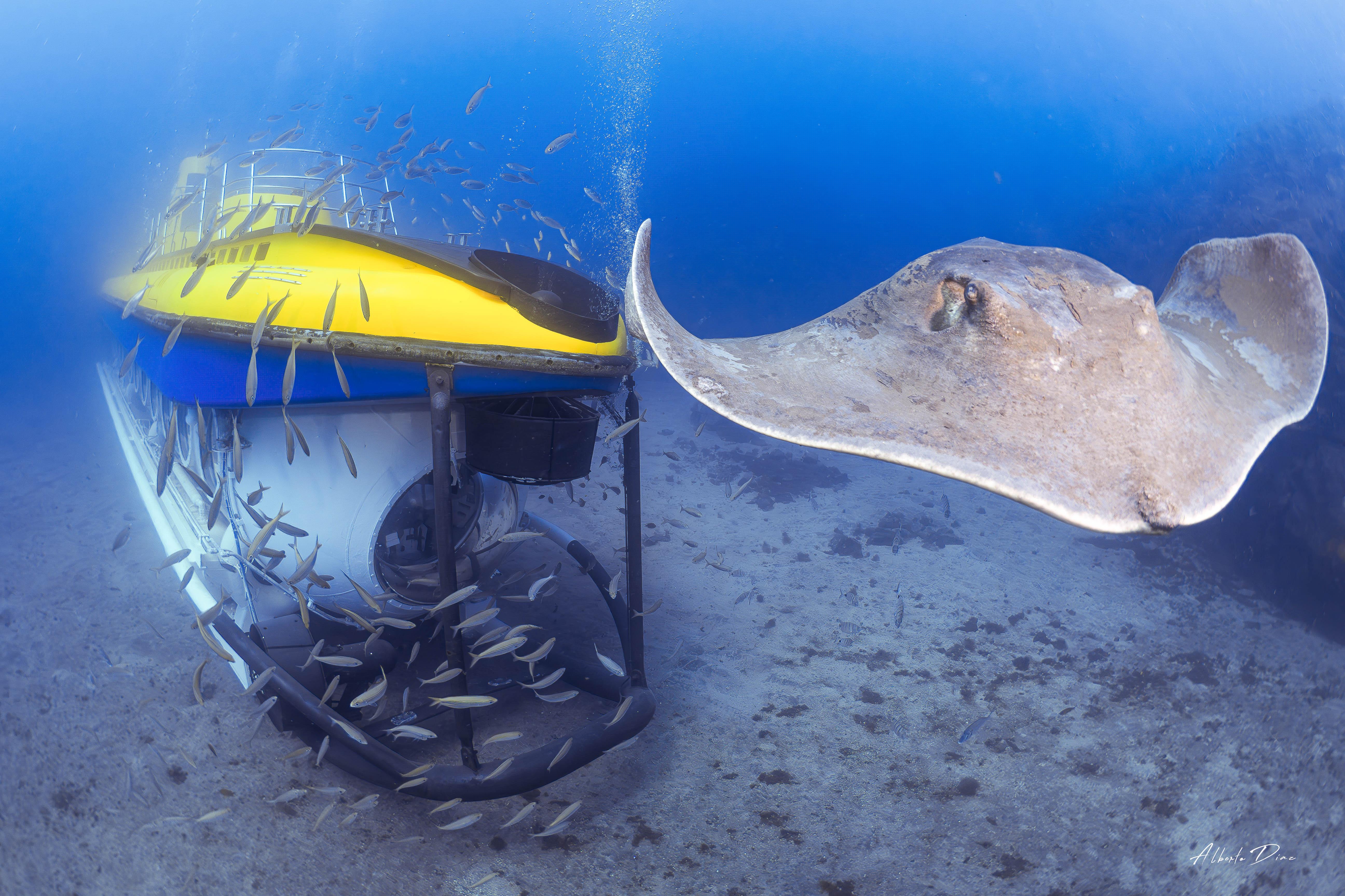 Submarine Adventure in Southern Tenerife