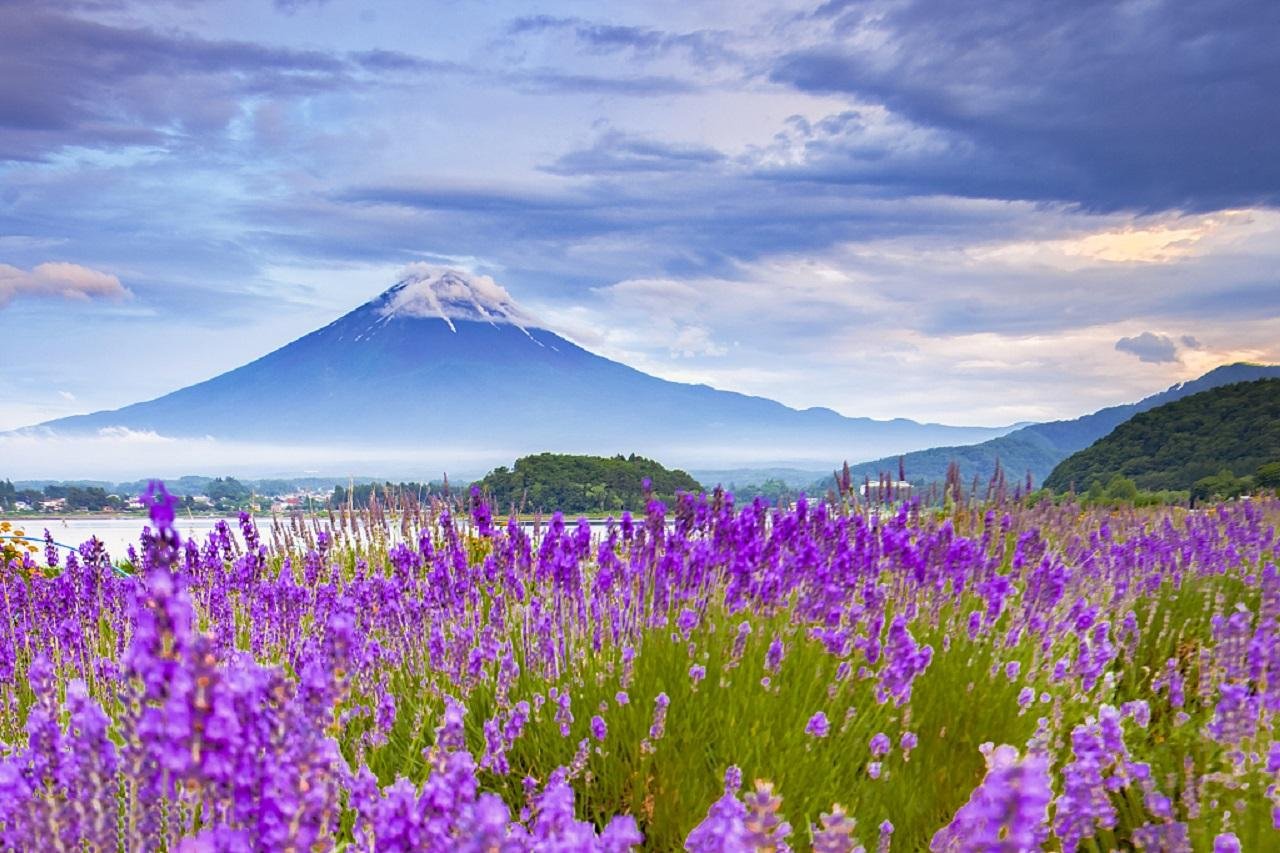 Mt. Fuji Scenic Highlights & Lake Kawaguchi Day Trip from Tokyo
