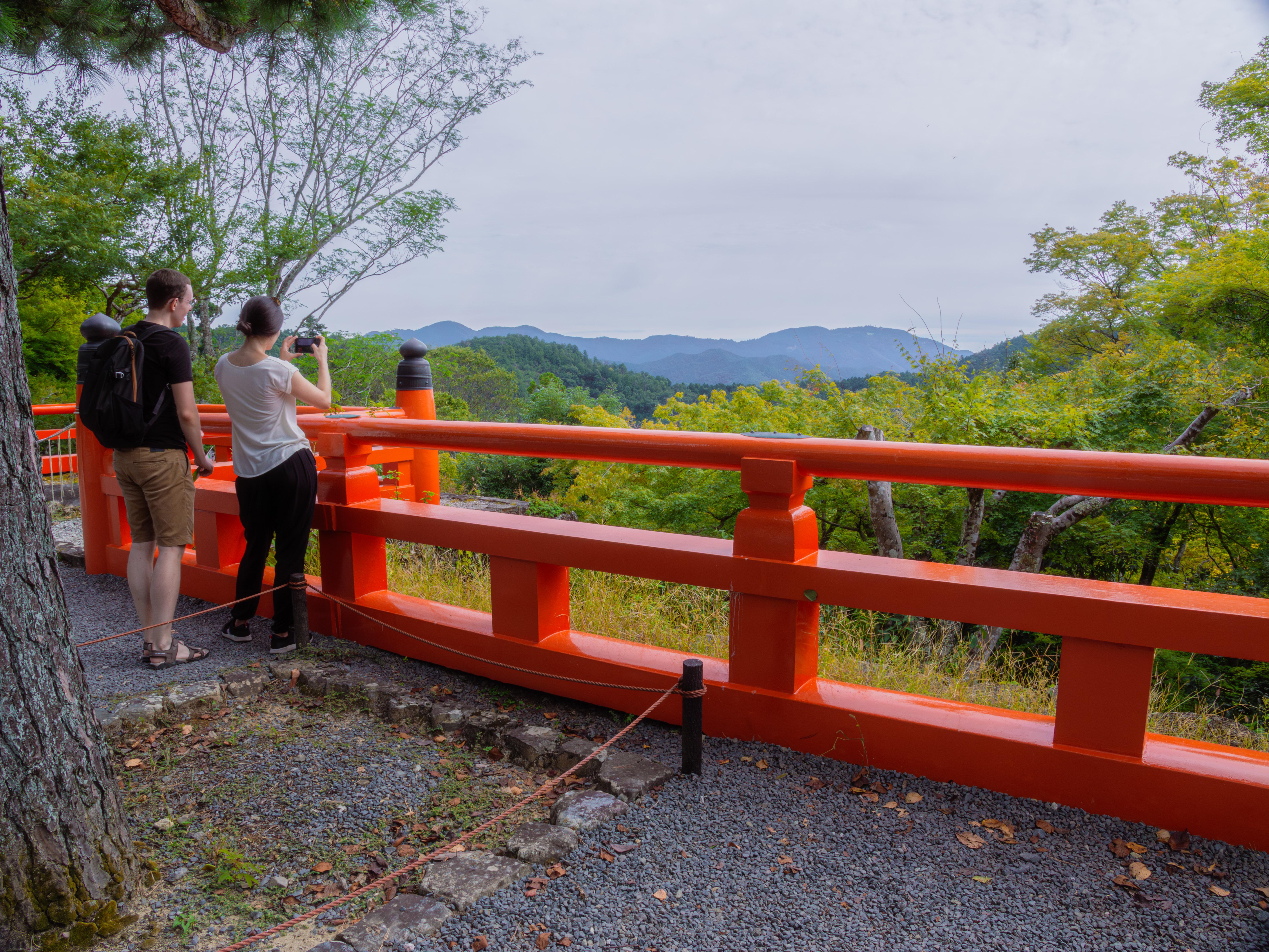 Kyoto experience — temples, geisha, bamboo grove — image 4