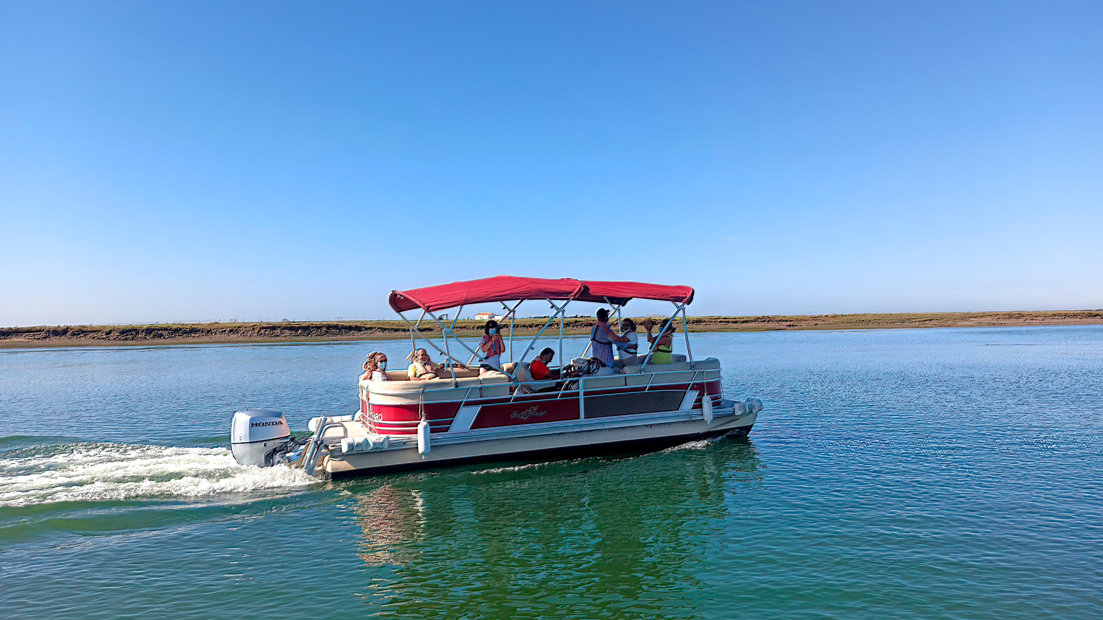 Ria Formosa island boat tour from Faro to Deserta and Farol — image 11