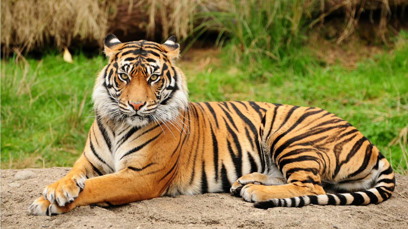 3-Day All-Inclusive Chitwan National Park Safari