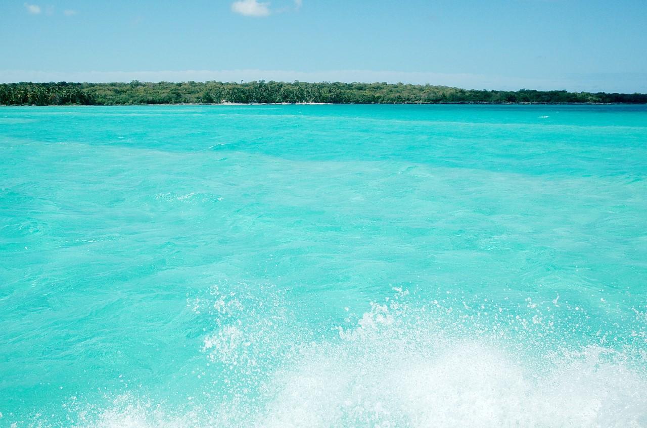 Saona Island Small-Group Escape with Lunch & Natural Pool