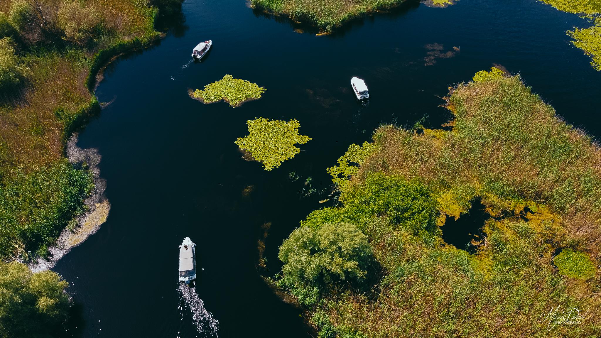 Danube Delta Day Tour from Constanța with Boat Cruise & Traditional Lunch