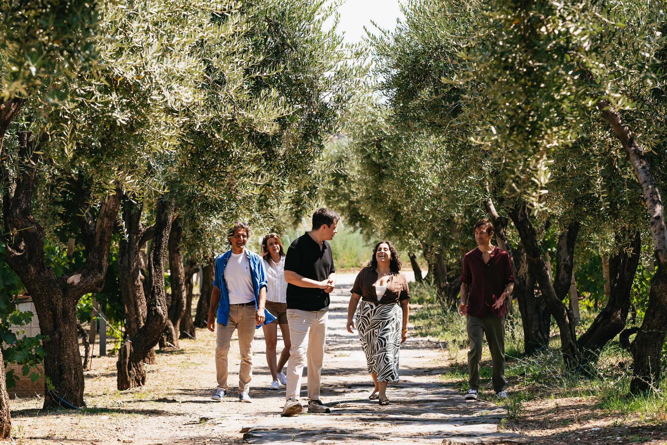 Frascati Wine Experience with Private Transport
