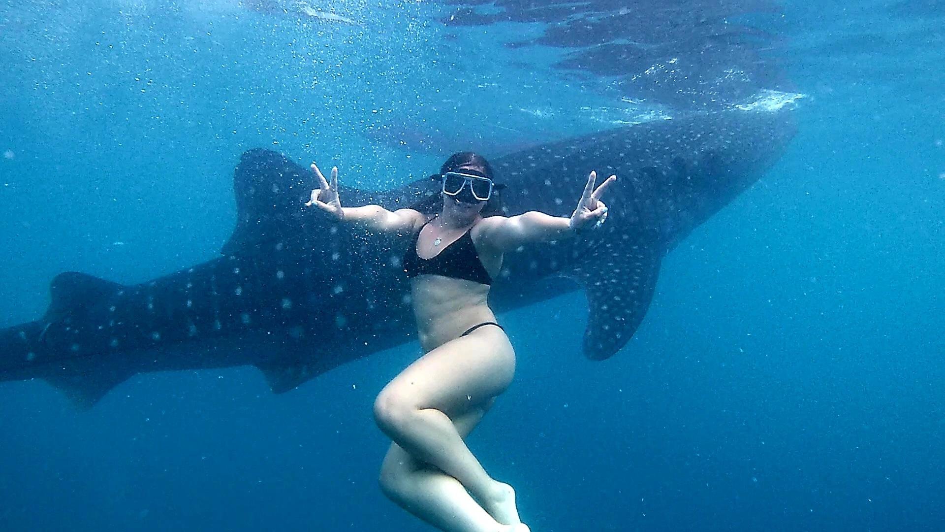 Cebu: Whale Shark Swim & Kawasan Falls Canyoneering Day Tour