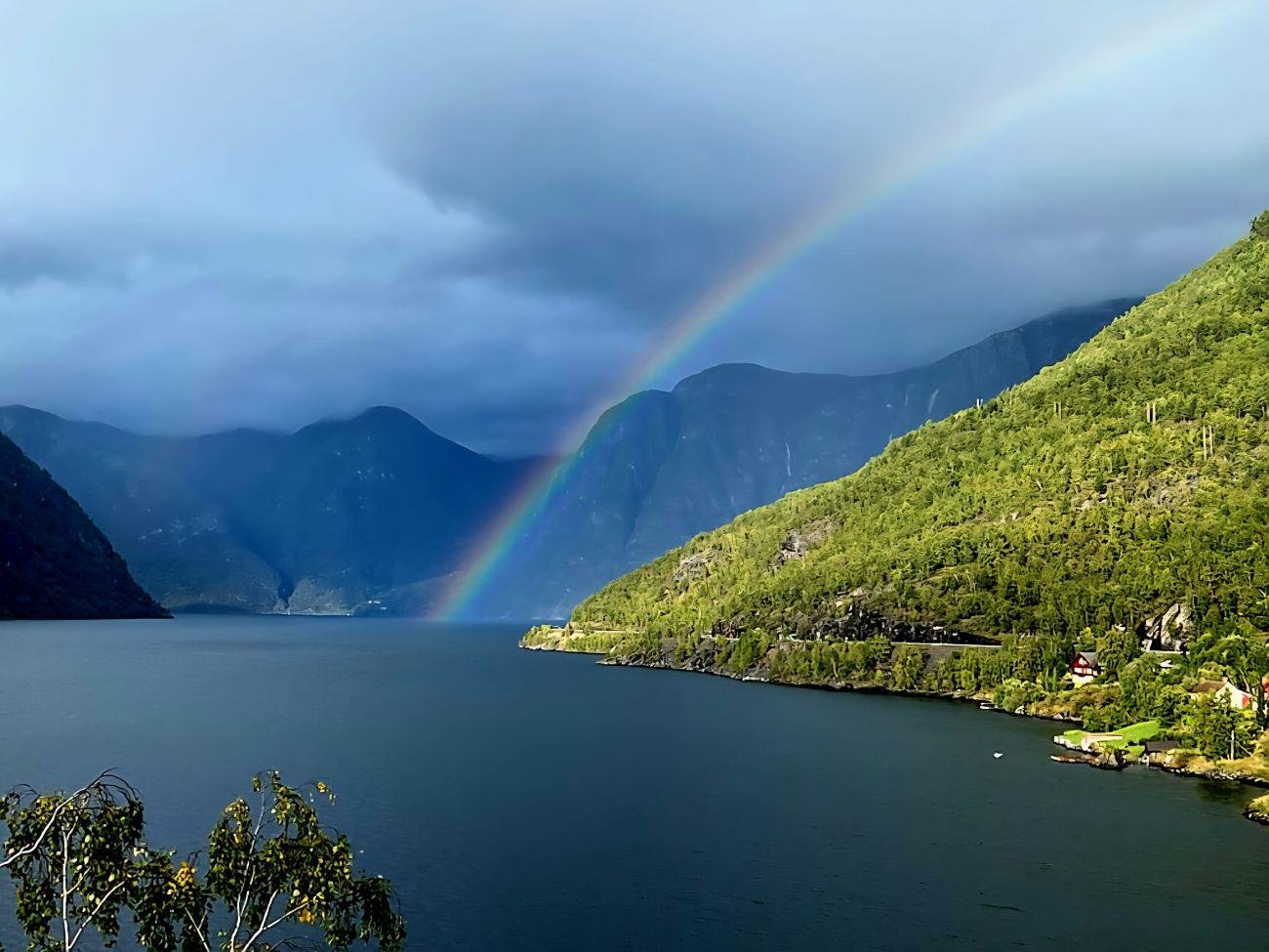 Flåm to Stegastein Viewpoint Scenic Bus Tour