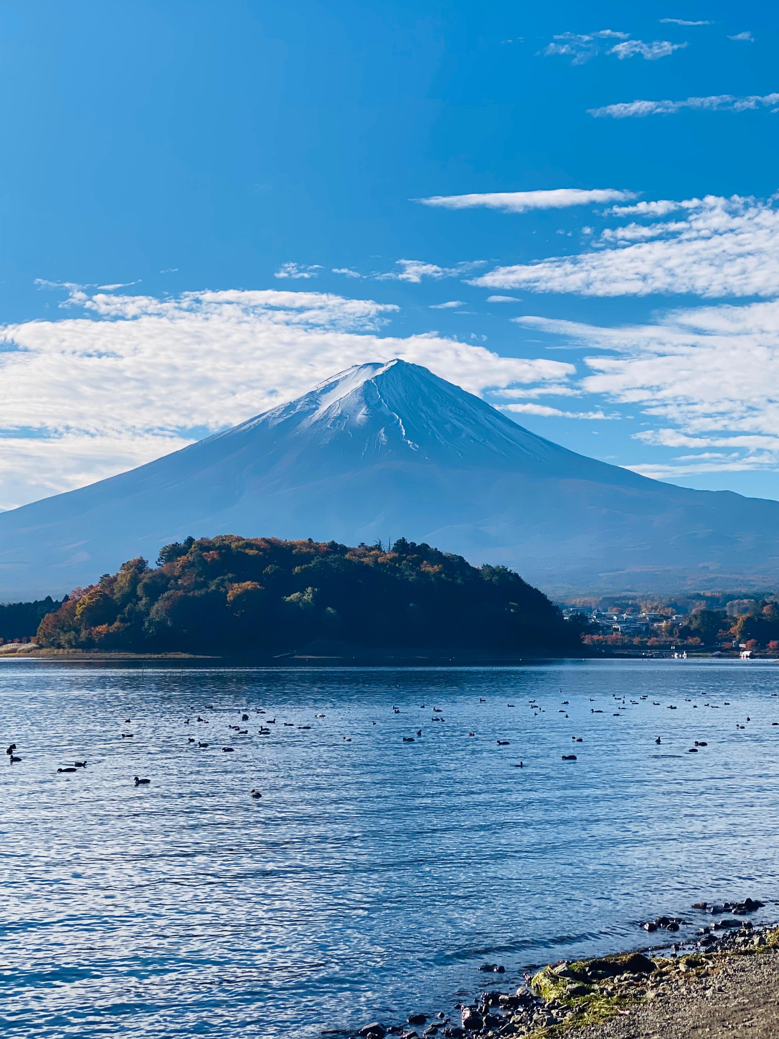 Mount Fuji Private Day Tour from Tokyo with English Guide