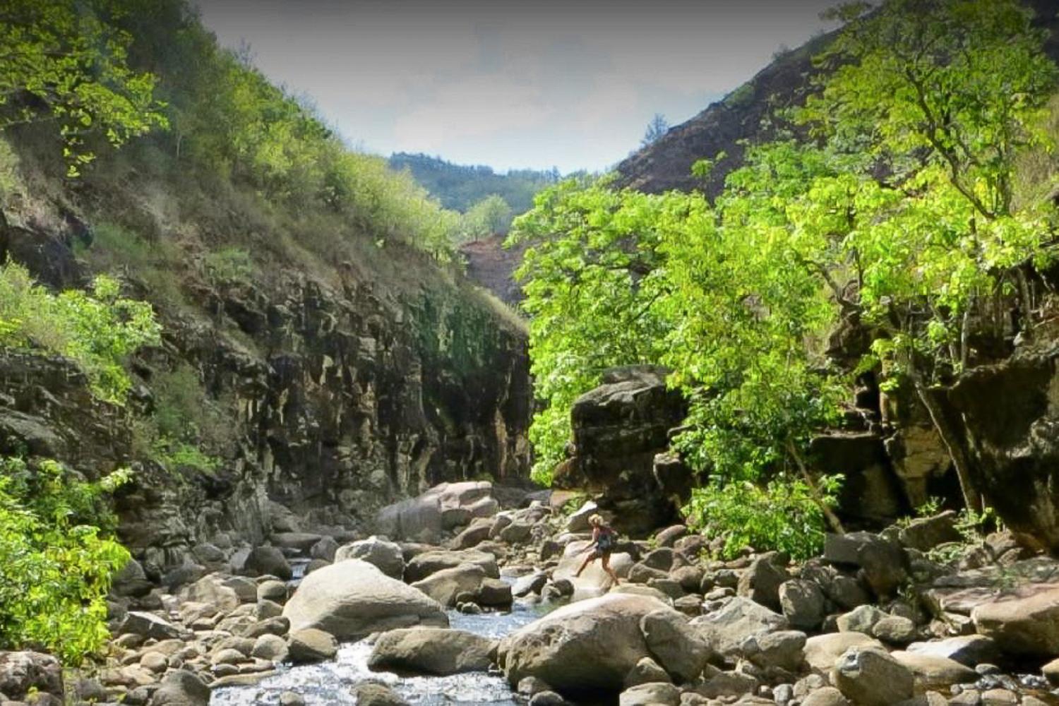 Private Waimea Canyon & Kokeʻe State Park Tour