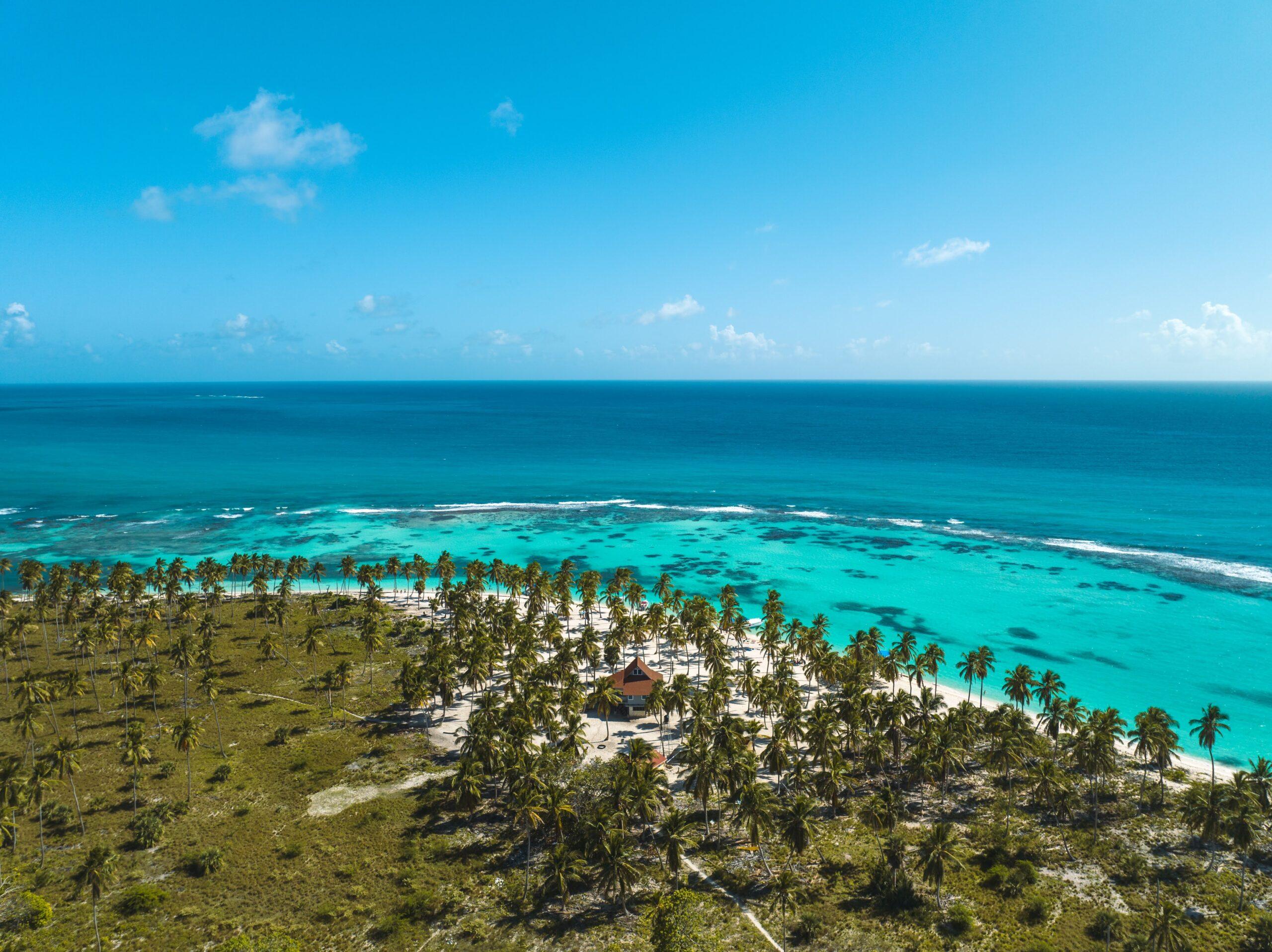 Private Saona Island tour — image 2