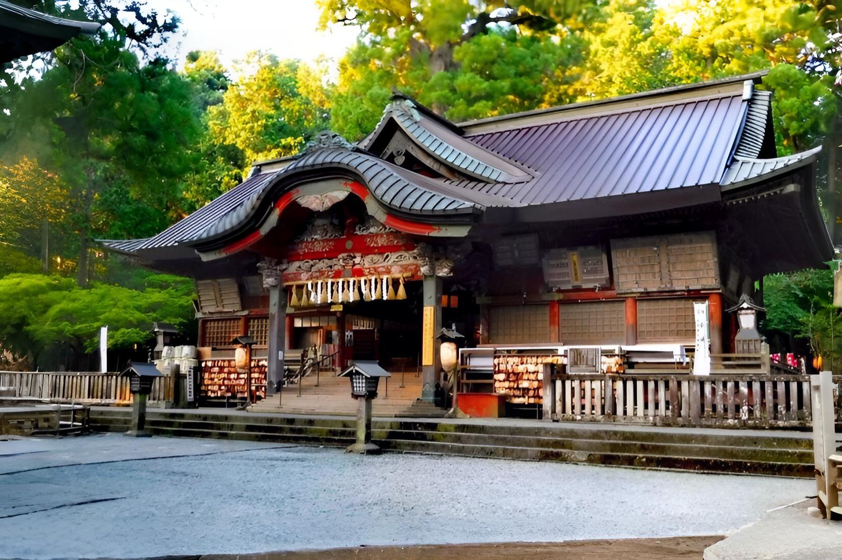 Tokyo to Mt. Fuji & Hakone: Private Full-Day Tour with English Driver