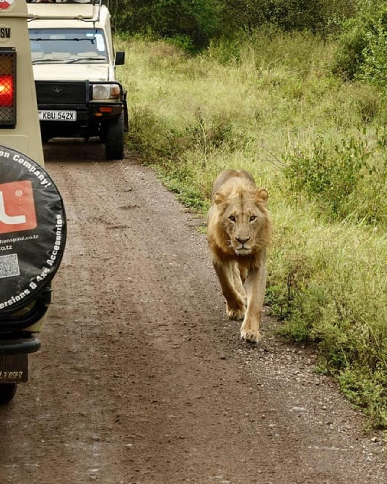 Nairobi Wildlife & History Day Tour