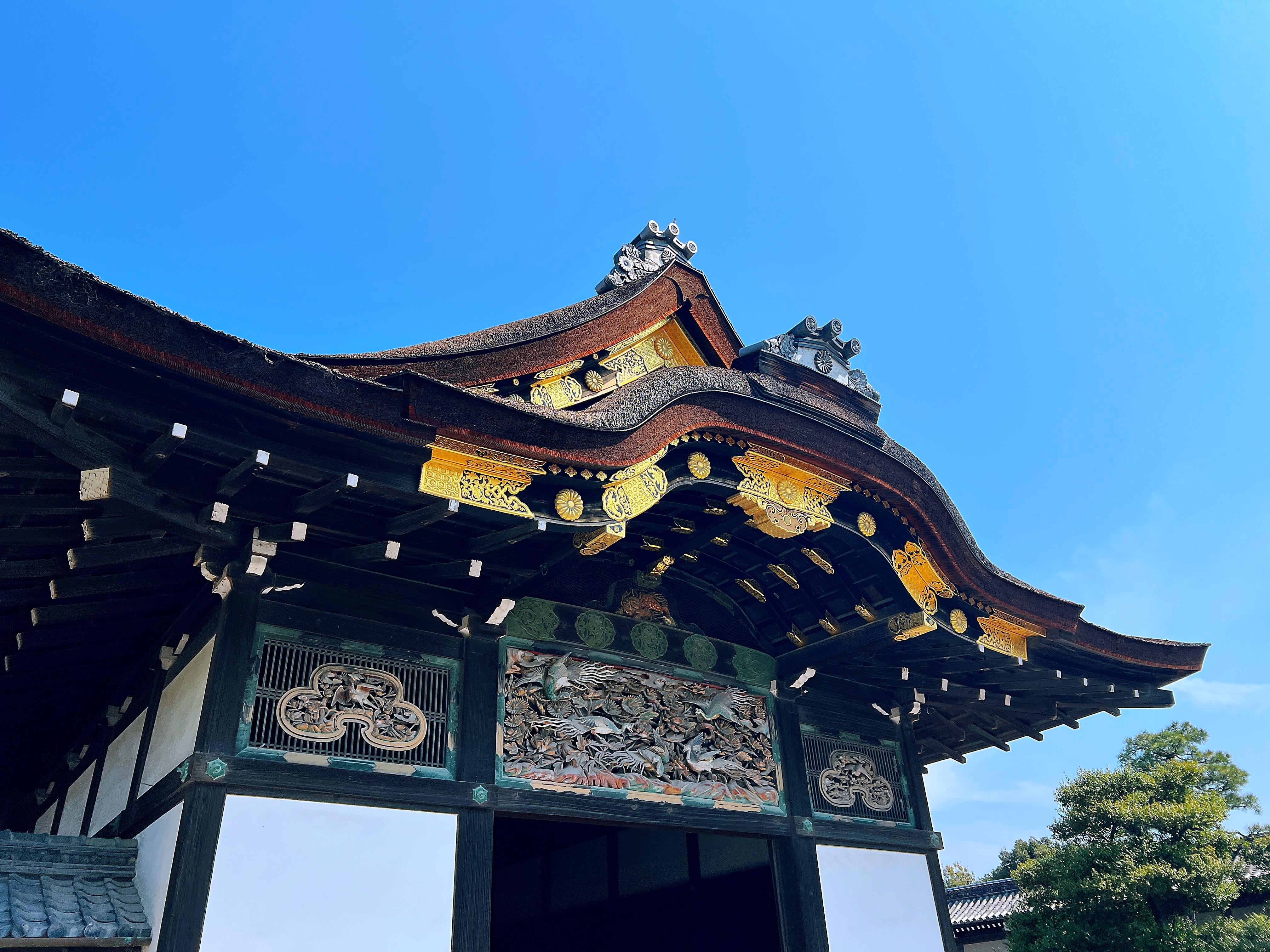 Kyoto Nijo-jo Castle: Private Samurai & Shogun History Tour