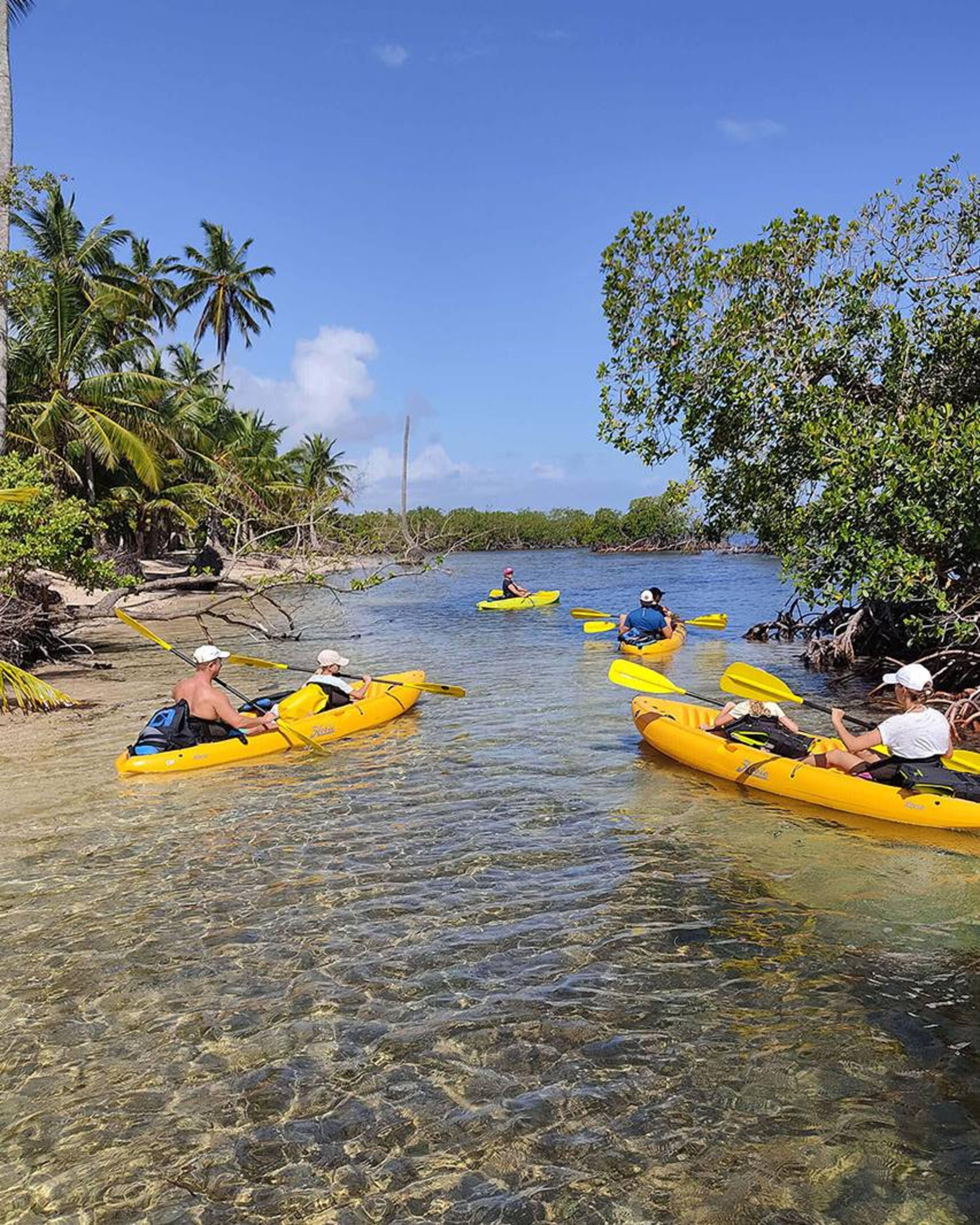 Samana: ATV Adventure, Kayaking, and Natural Pools
