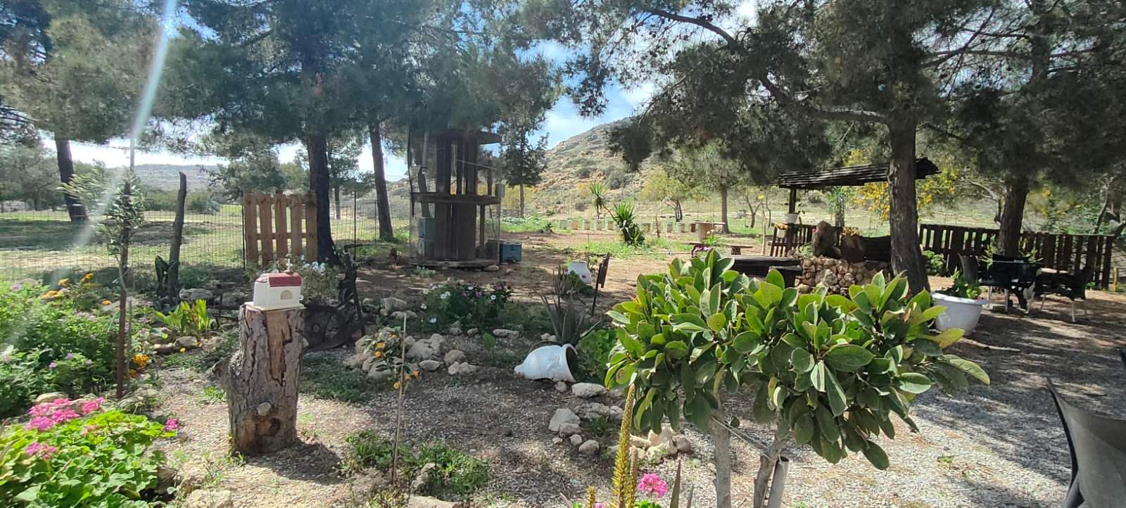 Matala Beach, Hippie Caves & Odigitria Monastery Day Trip from Heraklion