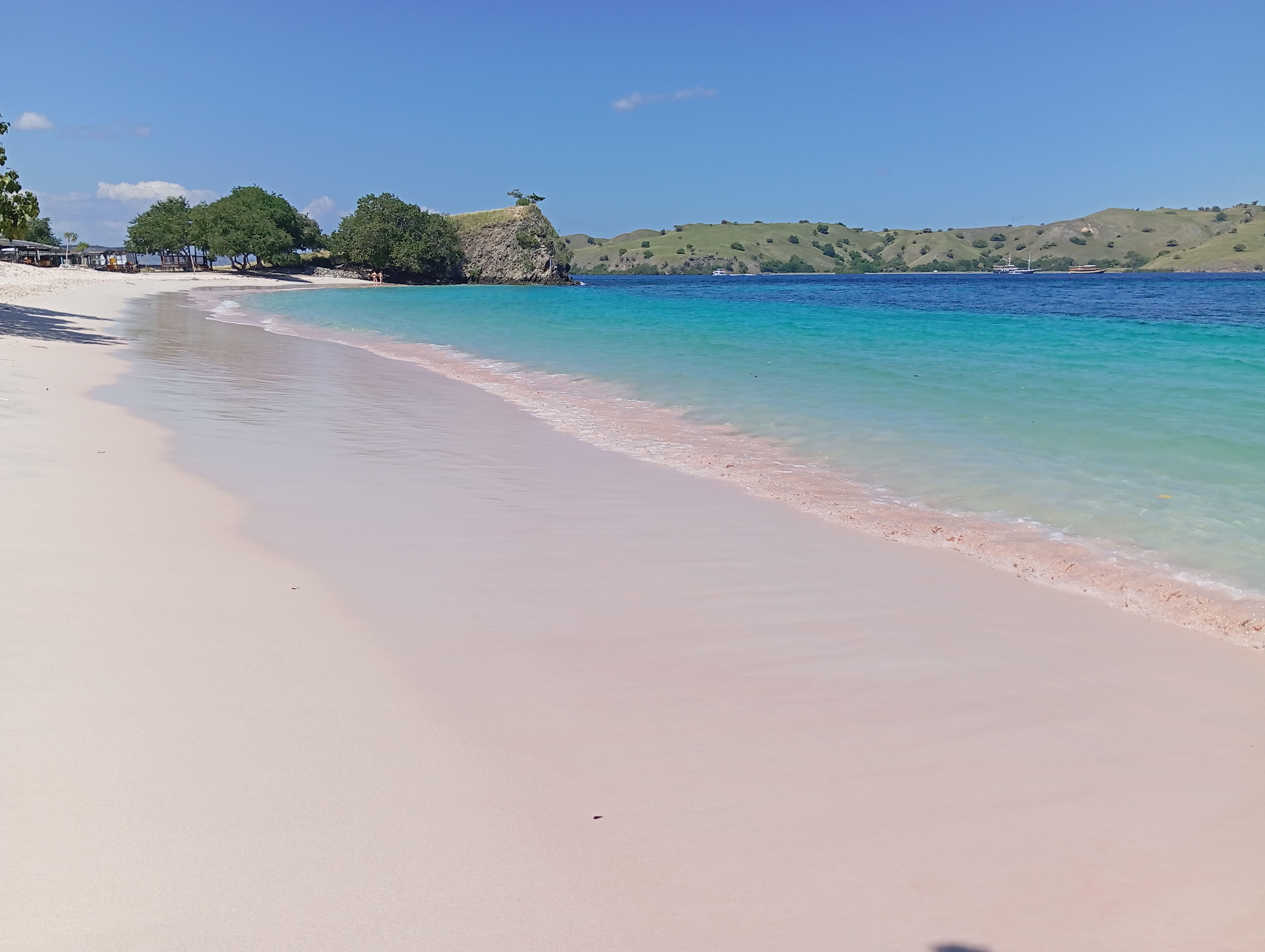 Labuan Bajo: Full-Day Komodo National Park Explorer