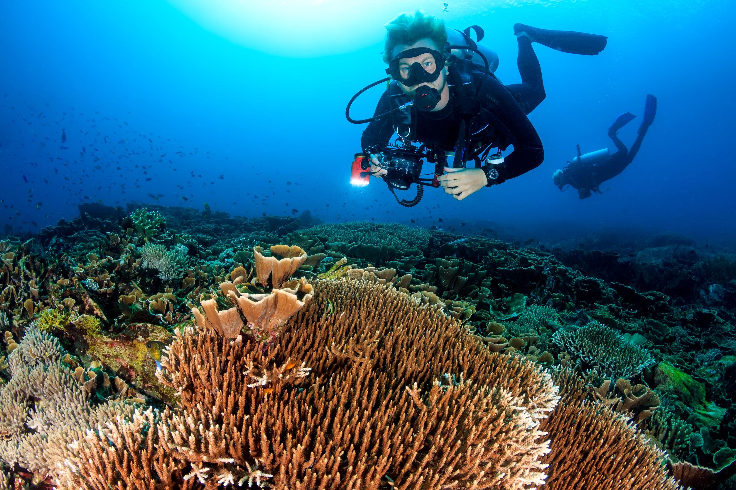 Mirissa Scuba Diving Experience