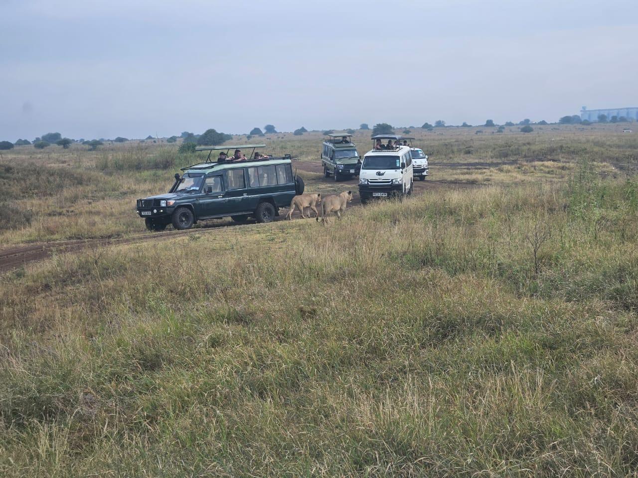 Nairobi National Park: Early Morning Guided Safari