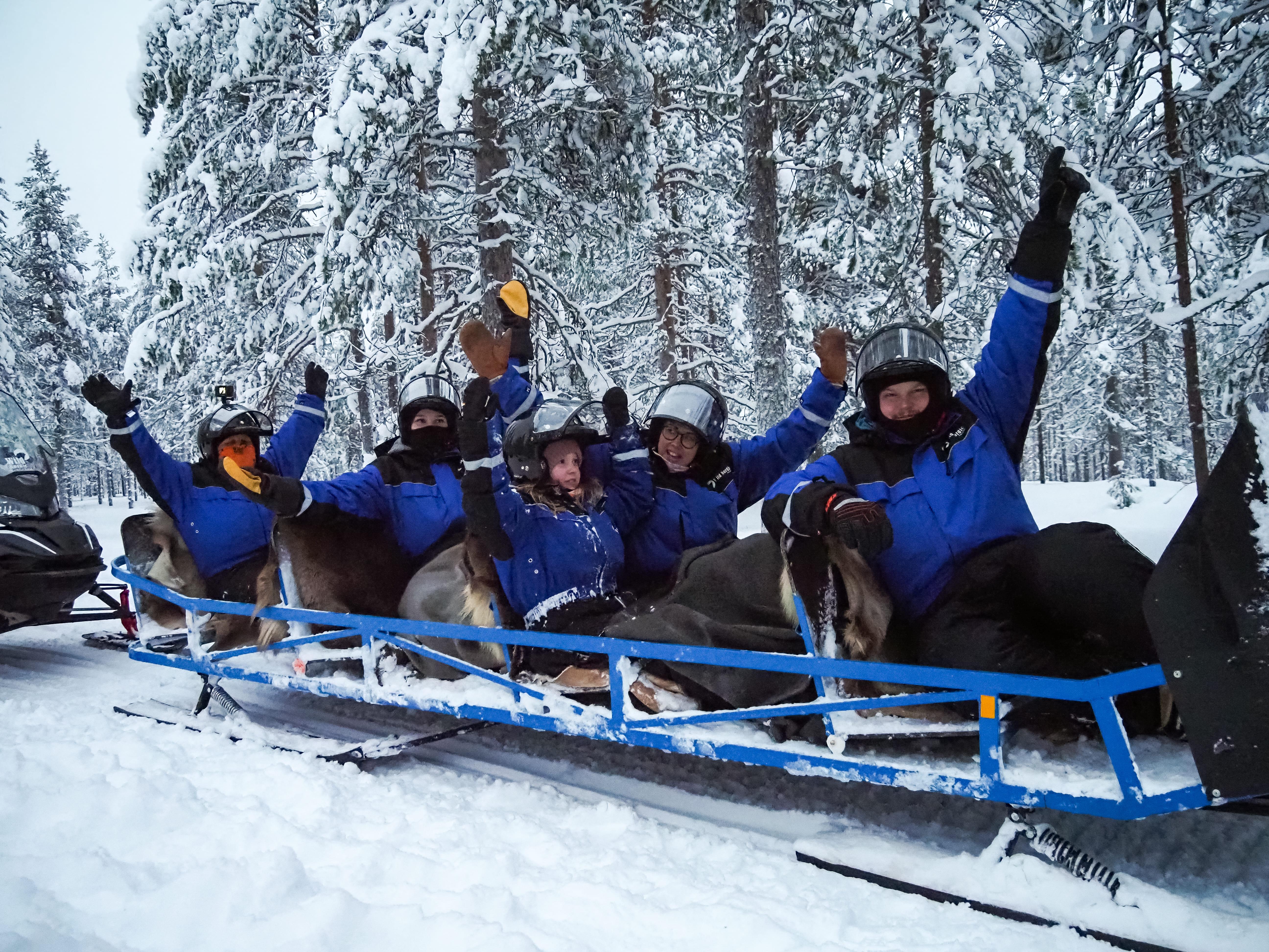 Rovaniemi Arctic Forest Snowmobile Safari